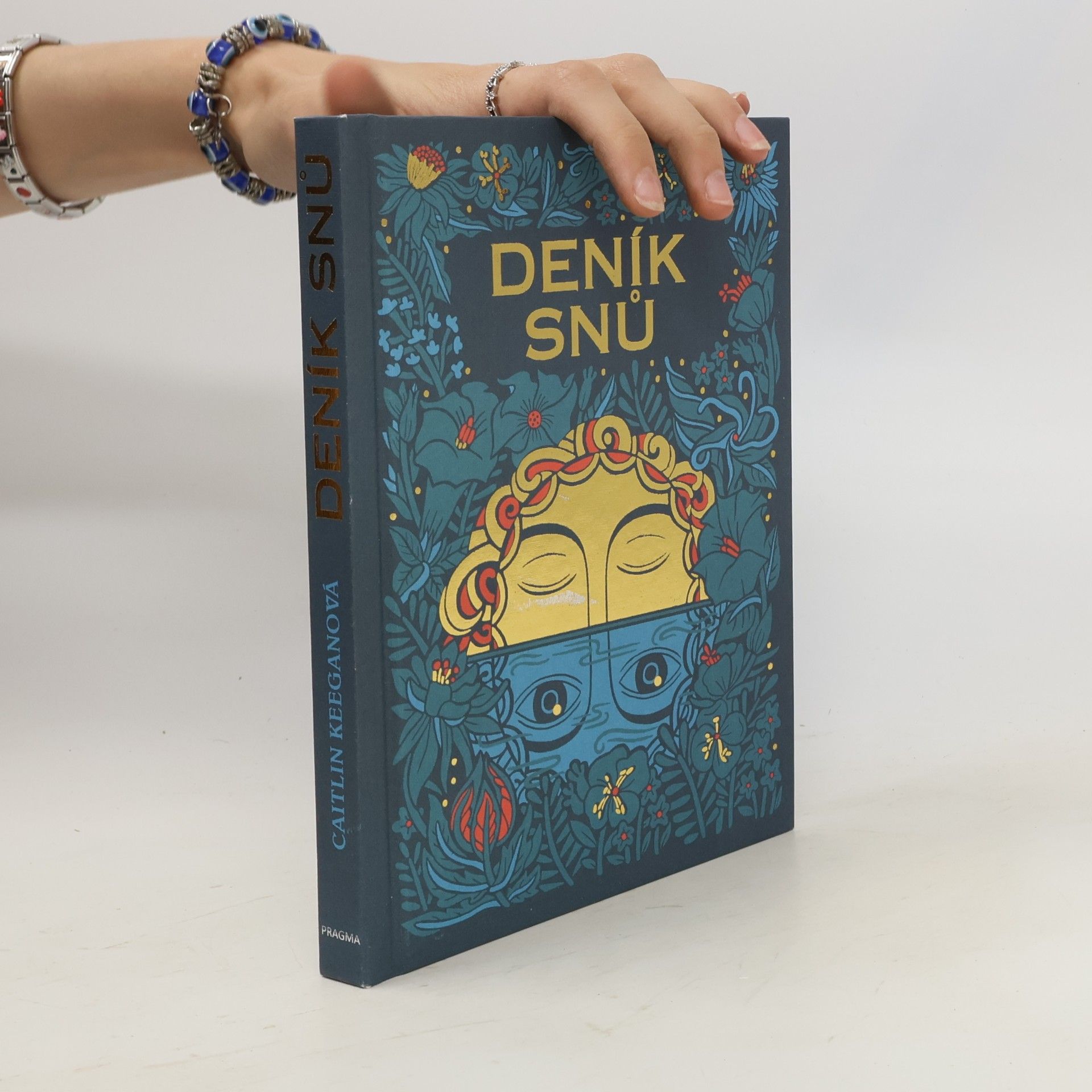 Deník snů