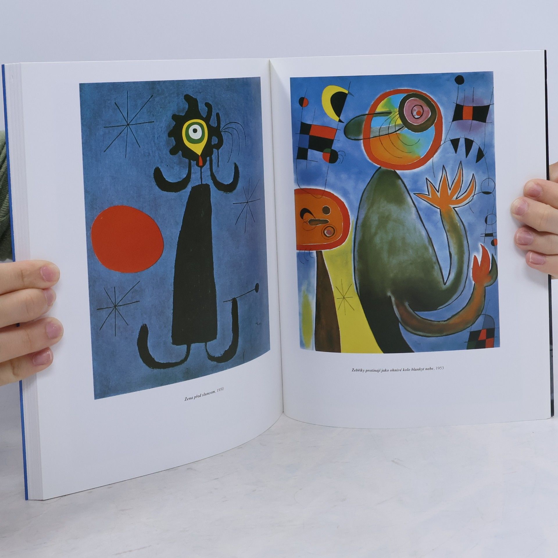 Janis Mink Miró
