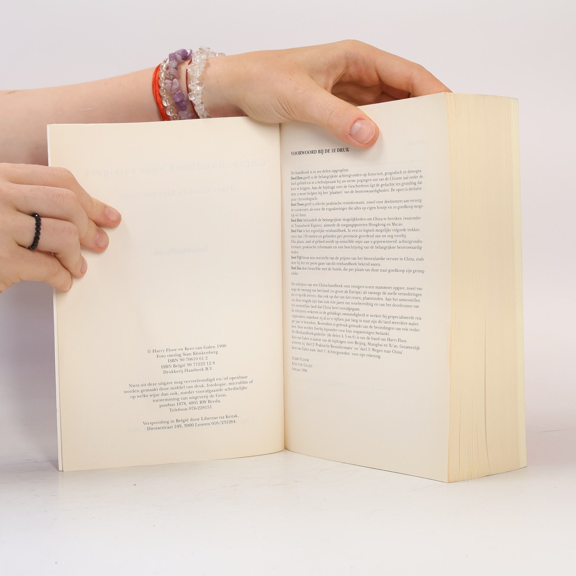 Harry Floor China, handboek voor reizigers