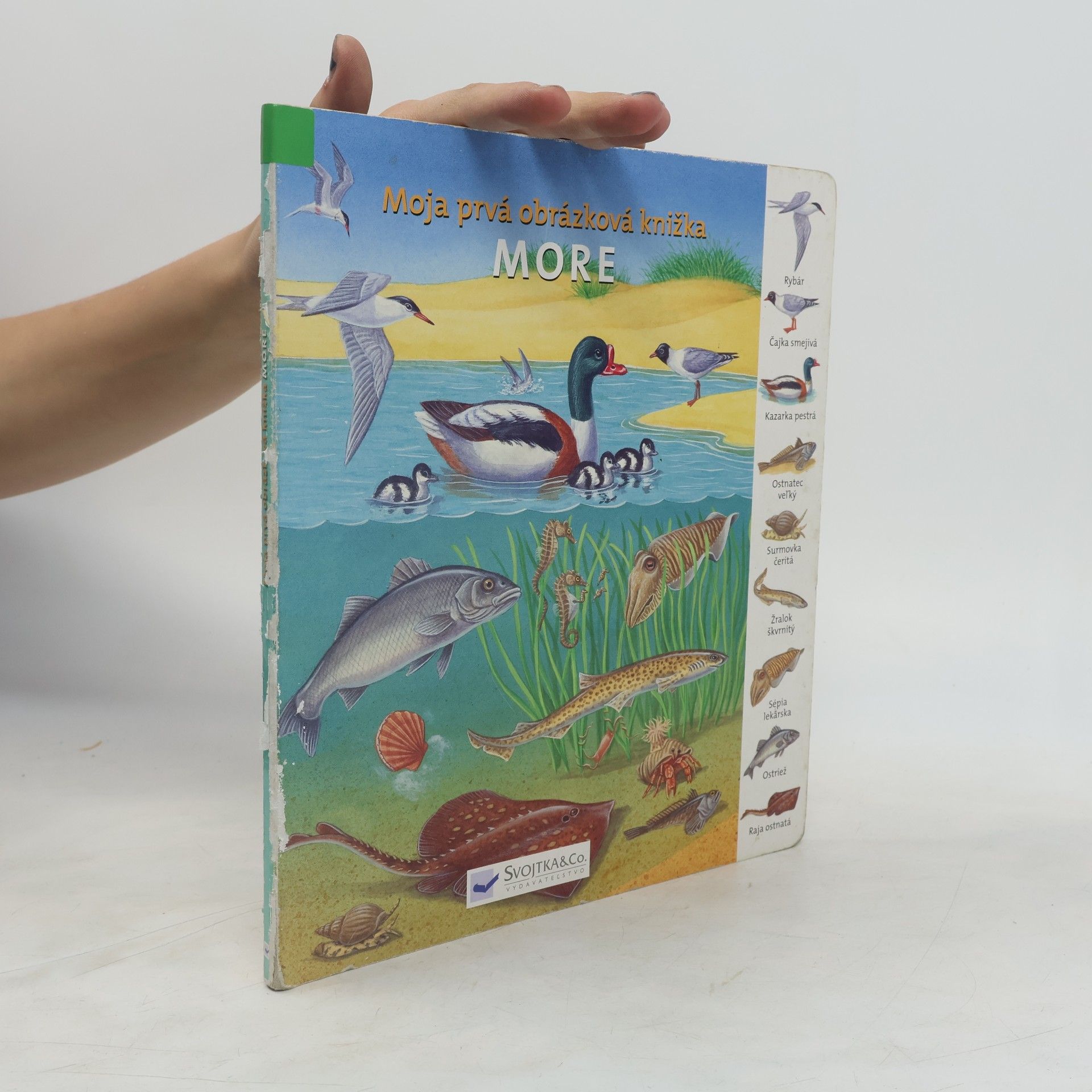 Autorenkollektiv Moja prvá obrázková knižka - More