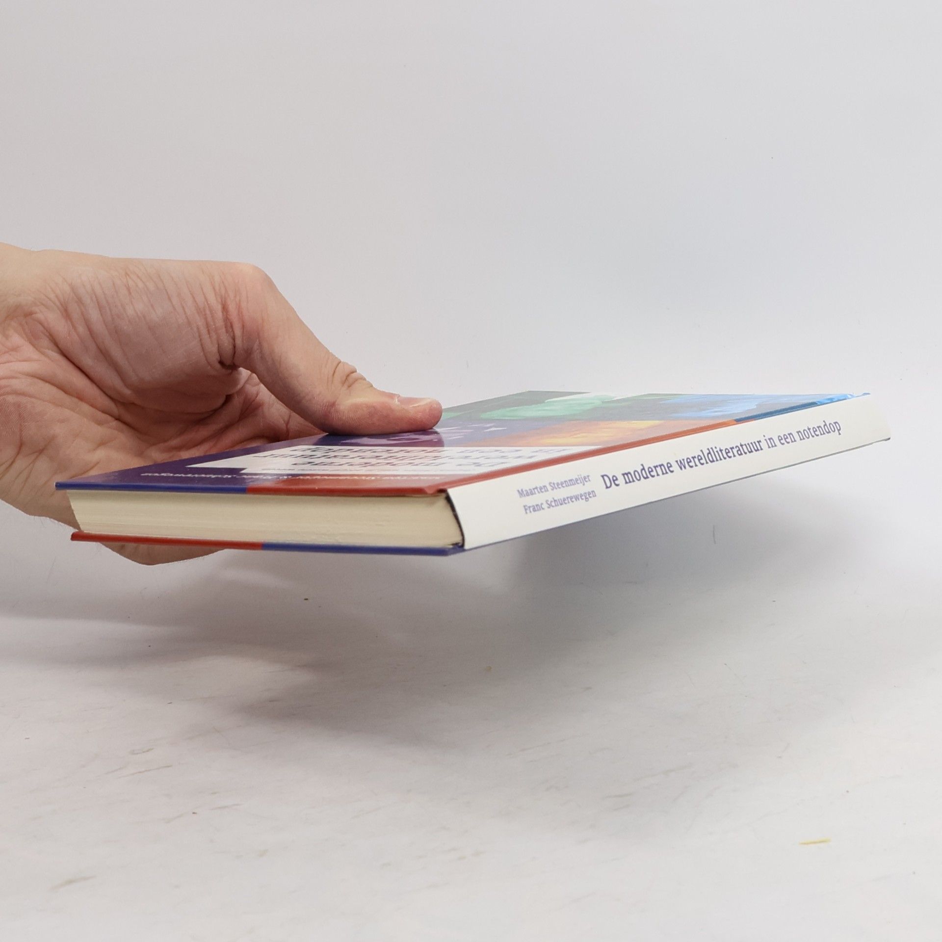 Franc Schuerewegen De moderne wereldliteratuur in een notendop