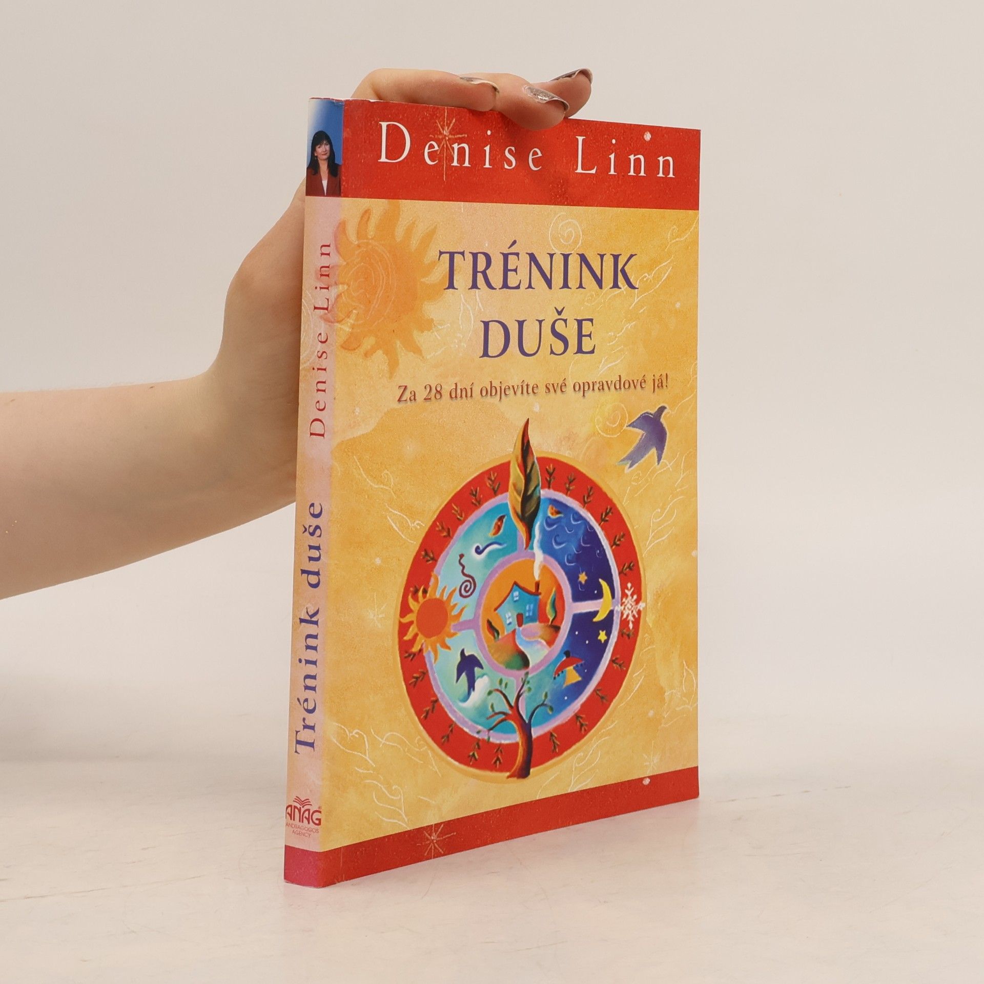 Denise Linn Trénink duše: Za 28 dní objevíte své opravdové já!