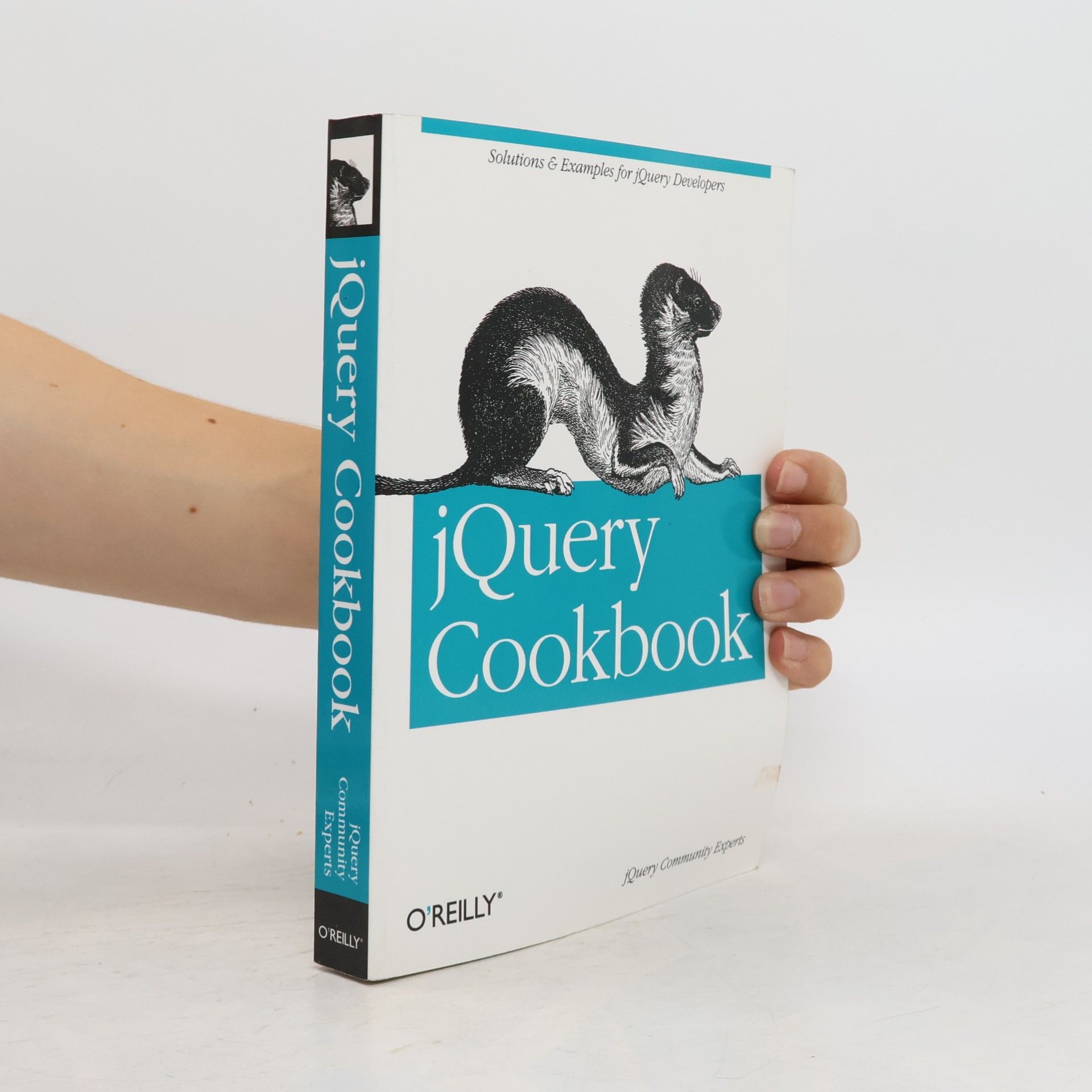 Kolektiv autorů JQuery cookbook