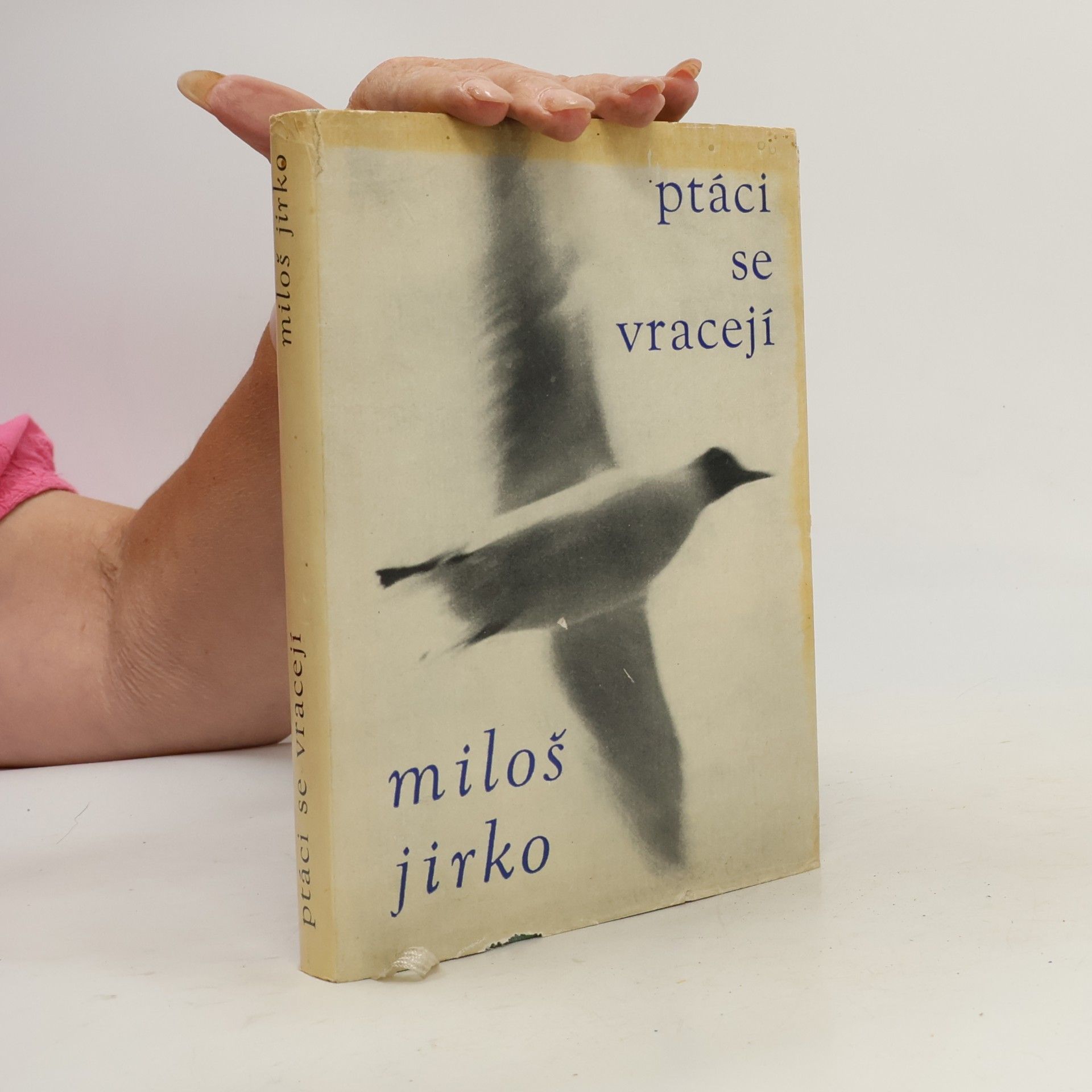 Miloš Jirko Ptáci se vracejí