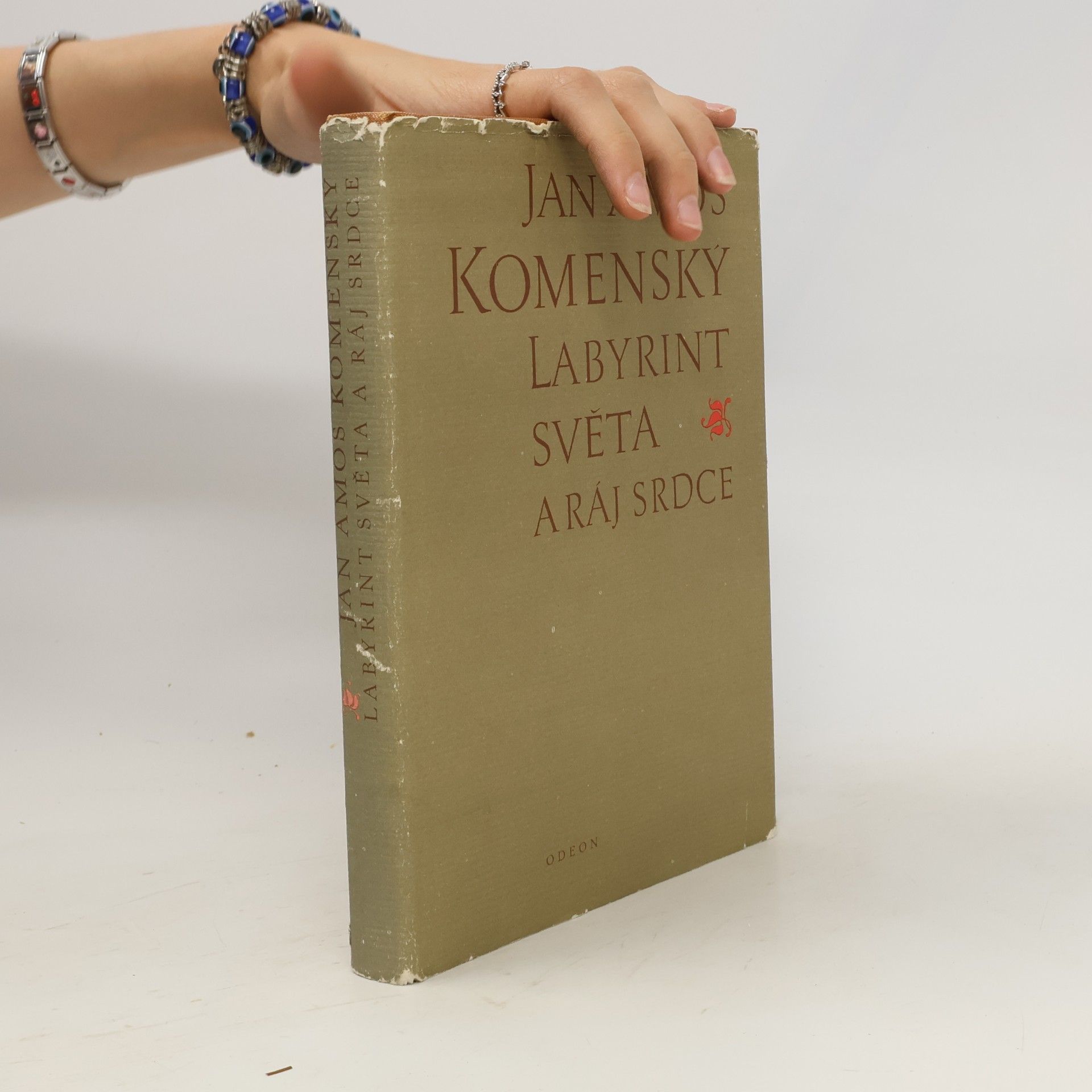 Johann Amos Comenius Labyrint světa a ráj srdce