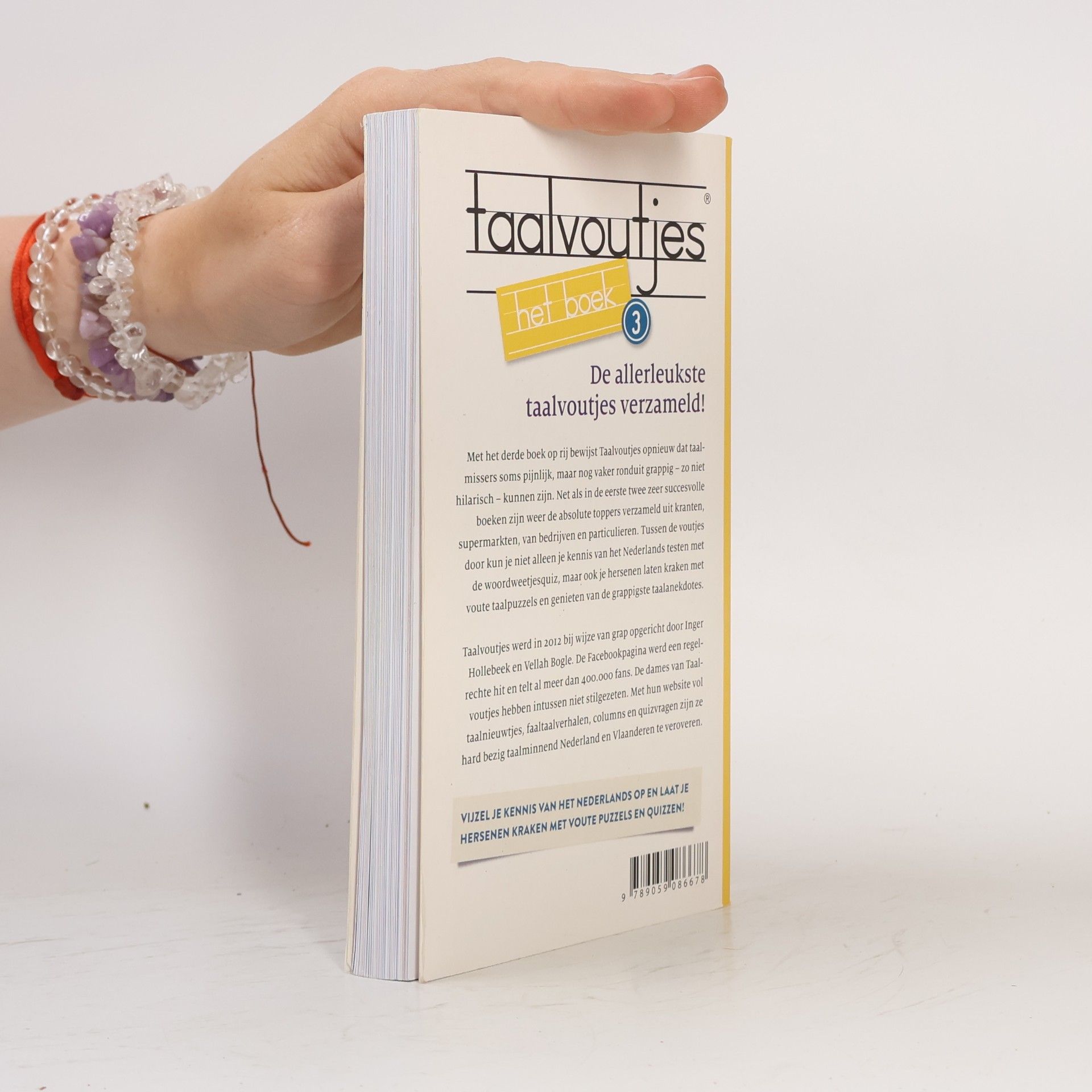 Inger Hollebeek Taalvoutjes - 3: Het boek - druk 1