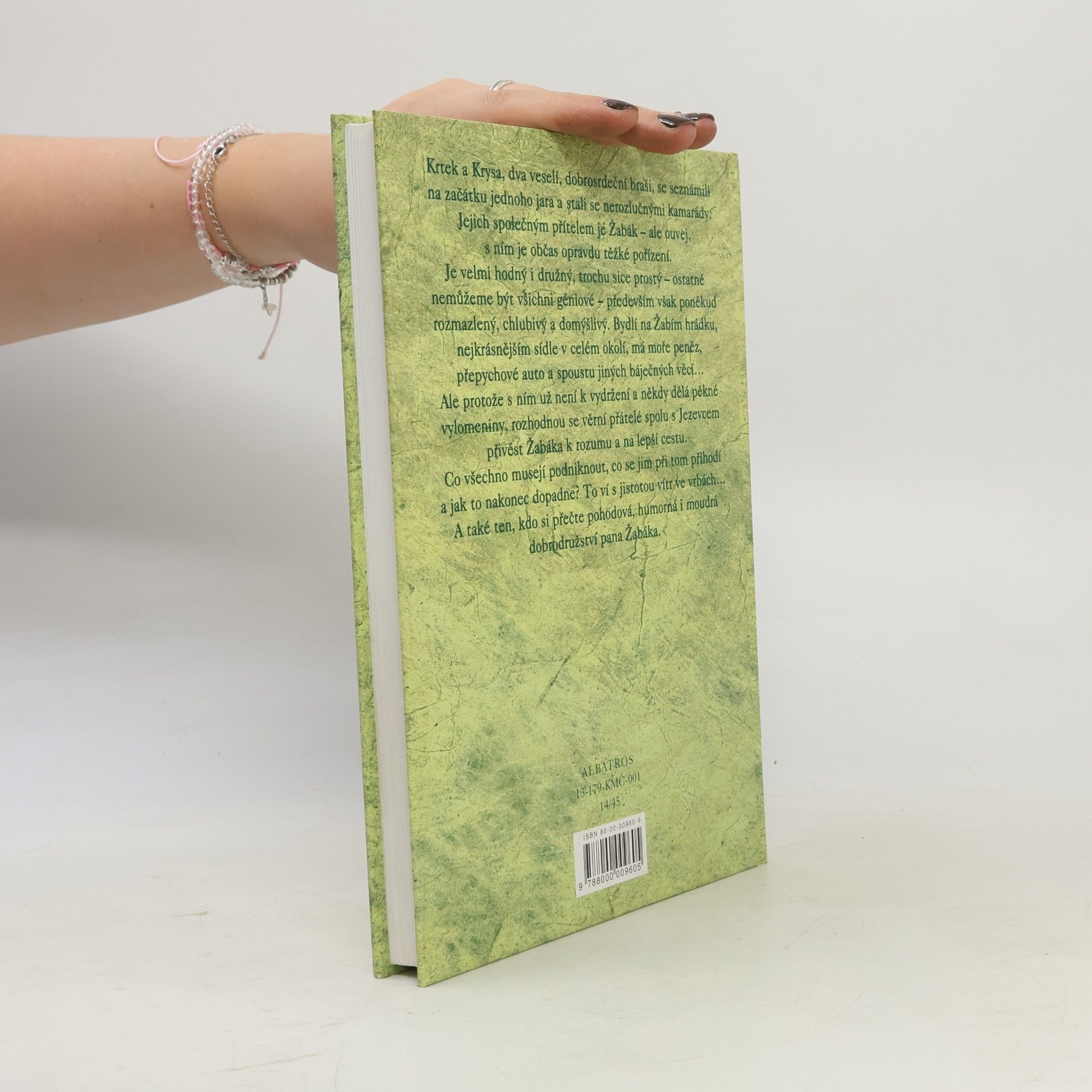 Kenneth Grahame Vítr ve vrbách aneb Žabákova dobrodružství