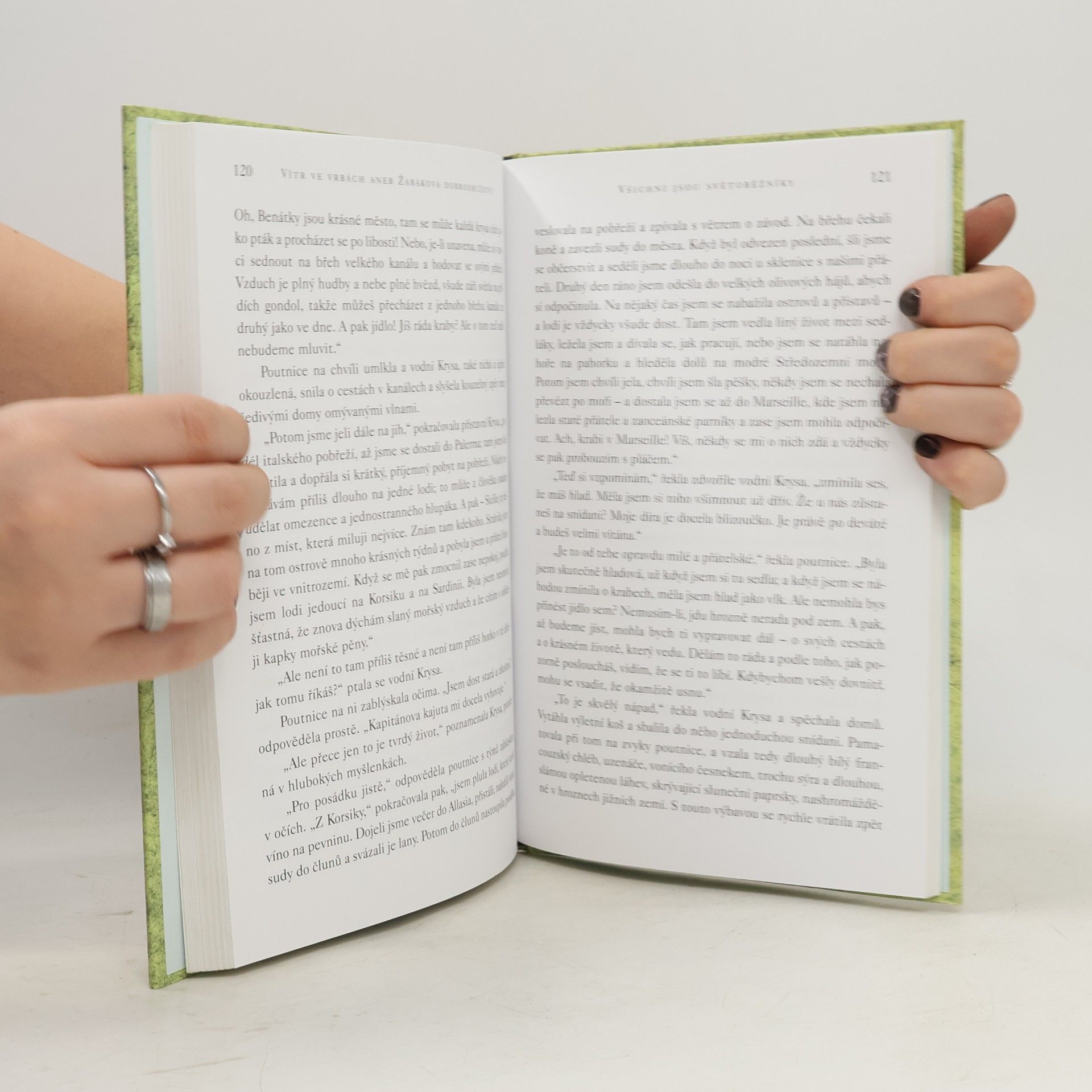 Kenneth Grahame Vítr ve vrbách aneb Žabákova dobrodružství