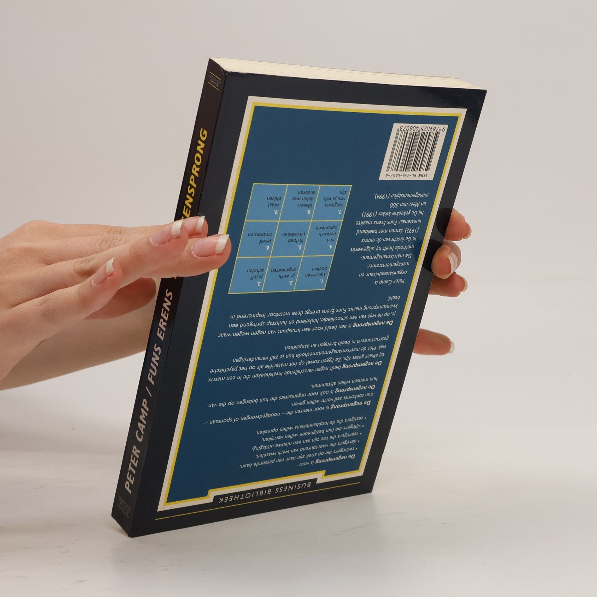 Funs Erens Business Bibliotheek: De negensprong