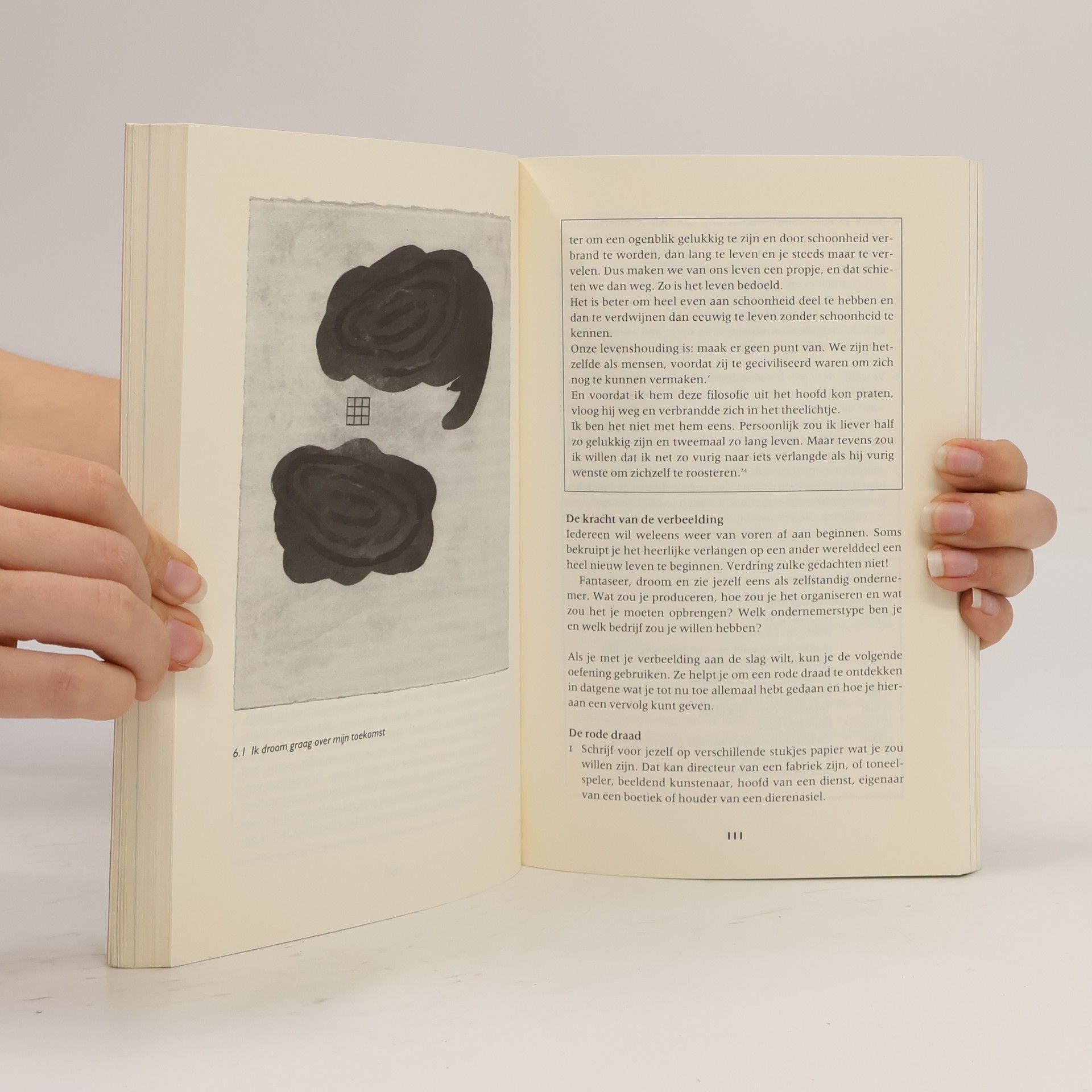 Funs Erens Business Bibliotheek: De negensprong