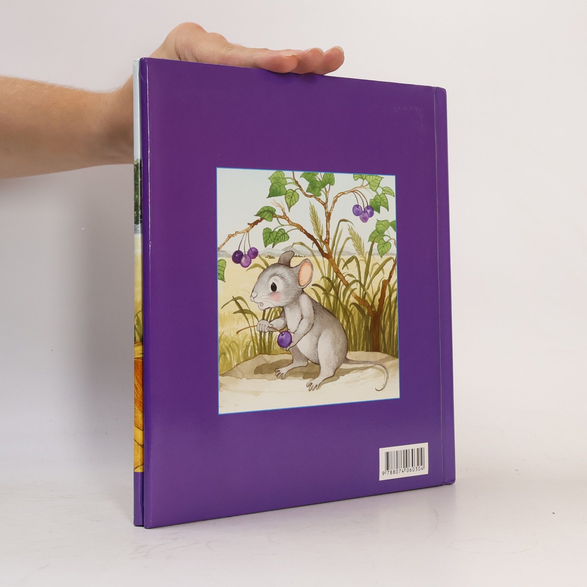 Autorenkollektiv O lvu a myšce. Příběh o pomoci druhým