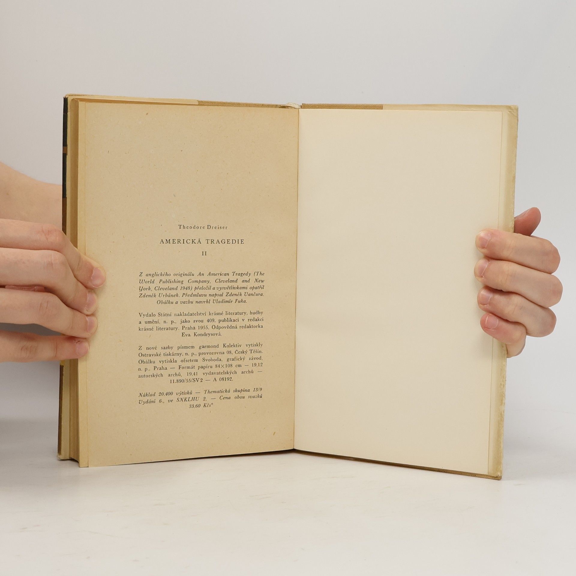 Theodore Dreiser Americká tragedie II