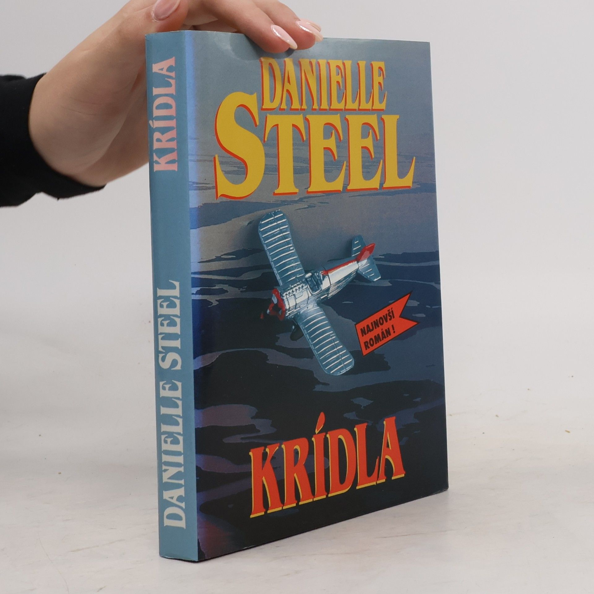 Danielle Steelová Krídla