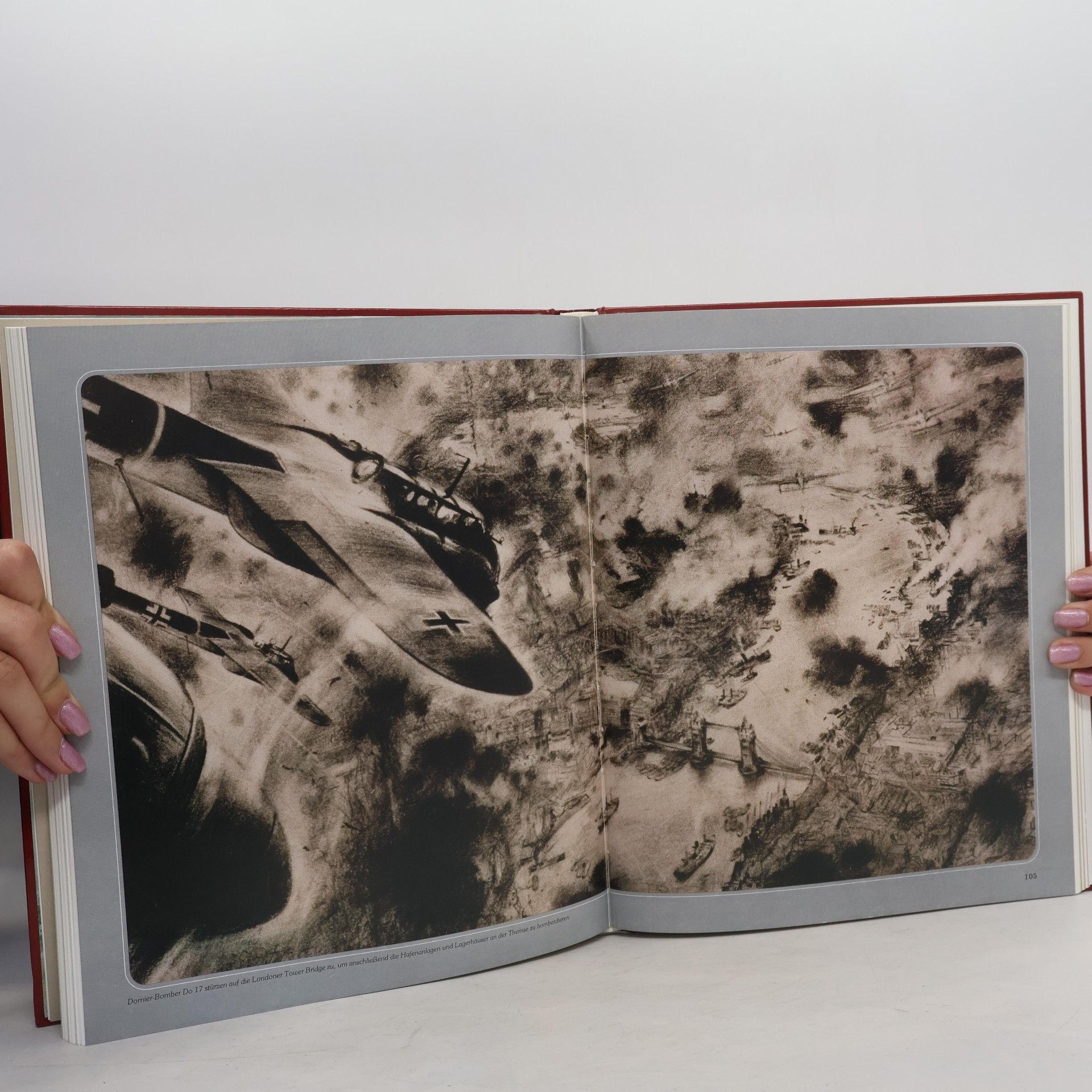 Marion F. Briggs Die Luftwaffe