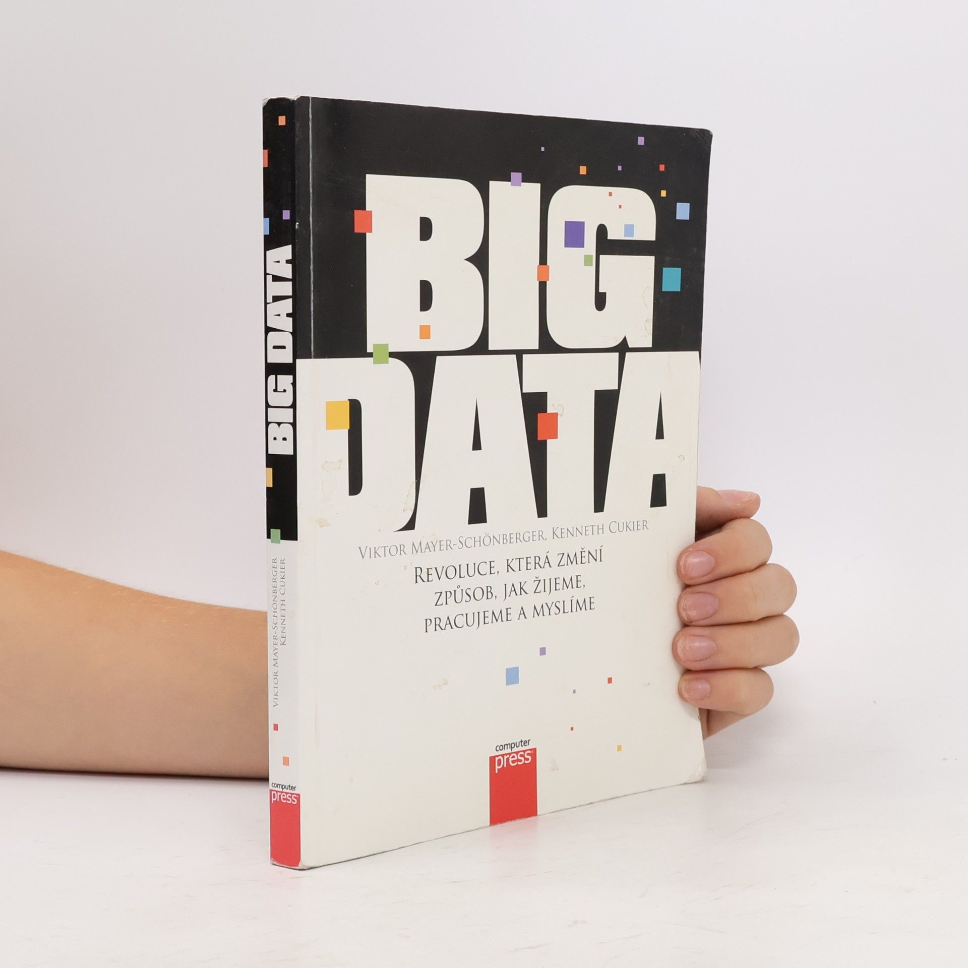 Viktor Mayer-Schönberger Big Data