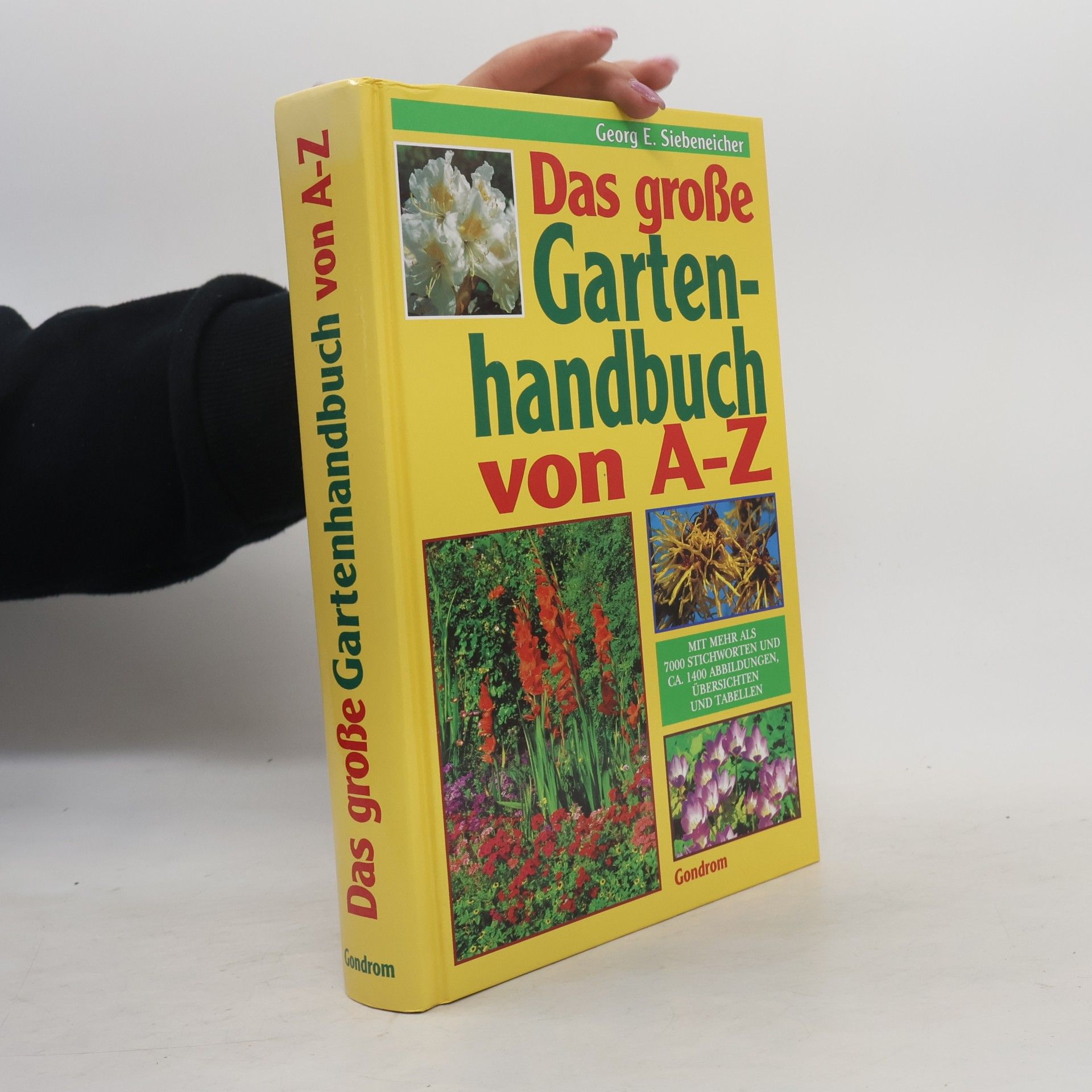 Jutta Debor-Sockel Das große Gartenhandbuch von A - Z