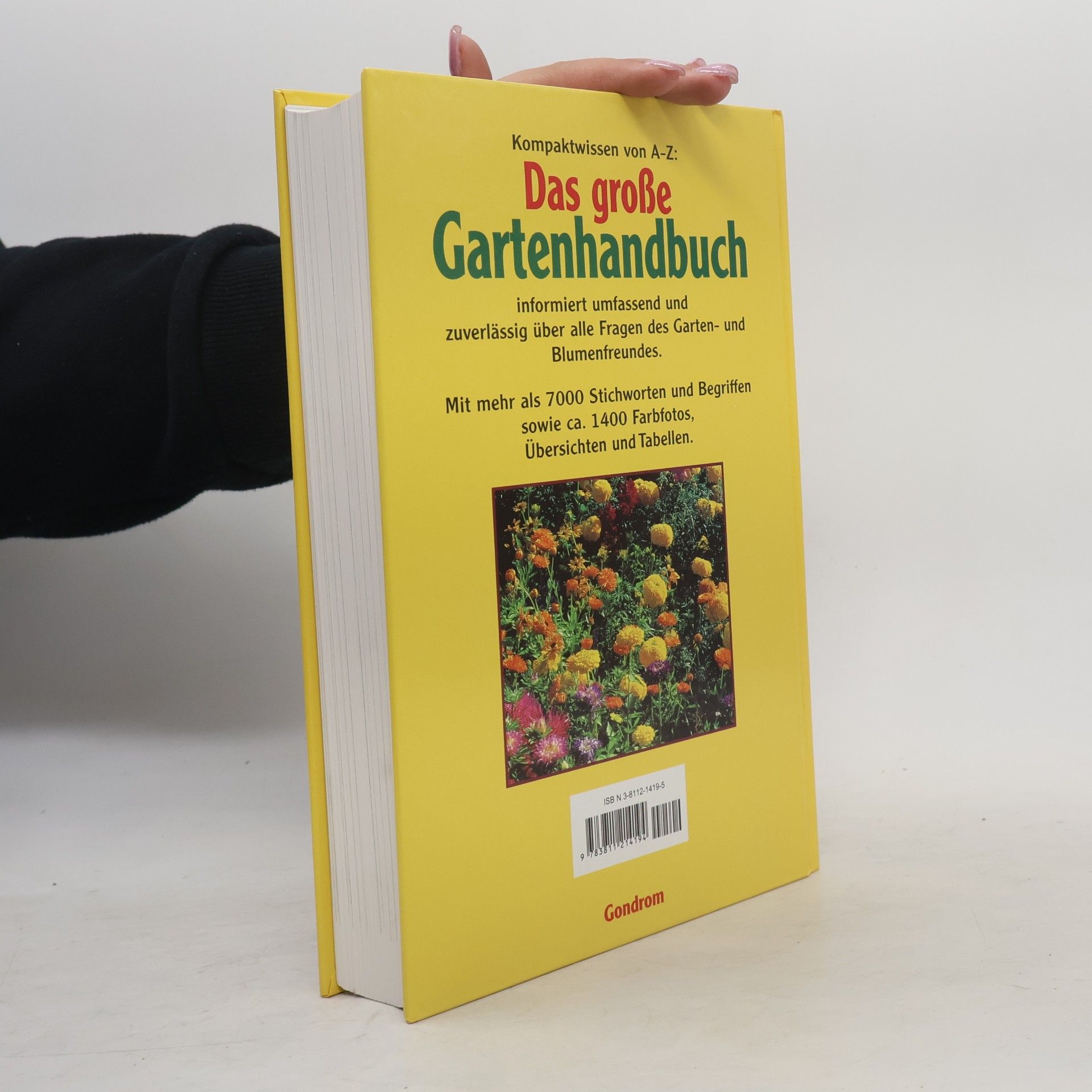 Jutta Debor-Sockel Das große Gartenhandbuch von A - Z