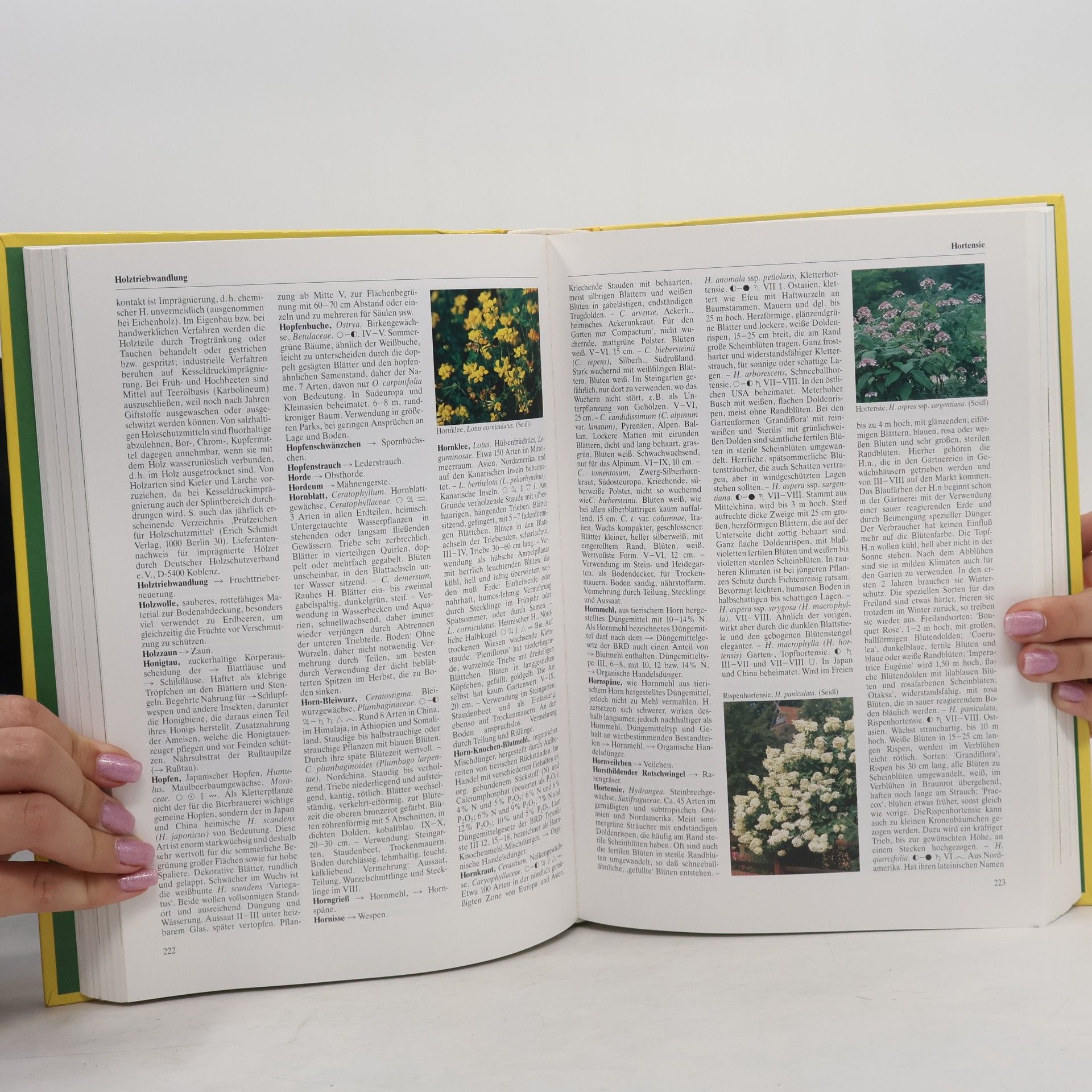 Jutta Debor-Sockel Das große Gartenhandbuch von A - Z