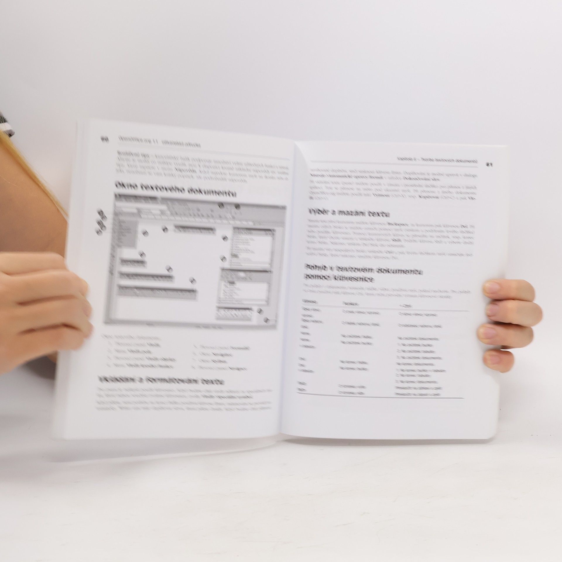 Kolektiv autorů OpenOffice.org 1.1 - Uživatelská příručka