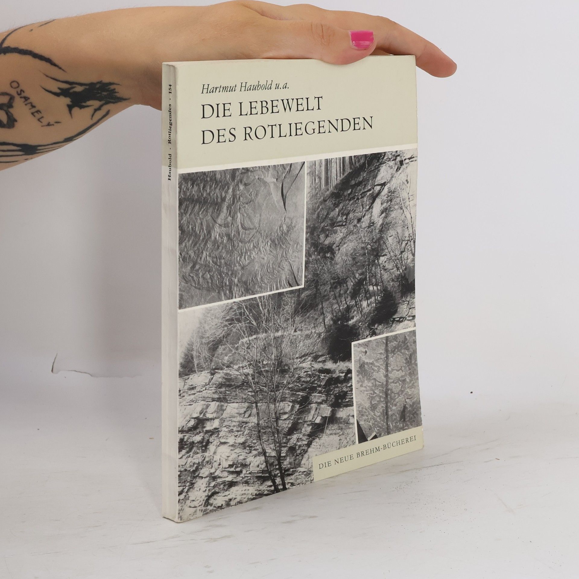 Hartmut Haubold Die Lebewelt des Rotliegenden