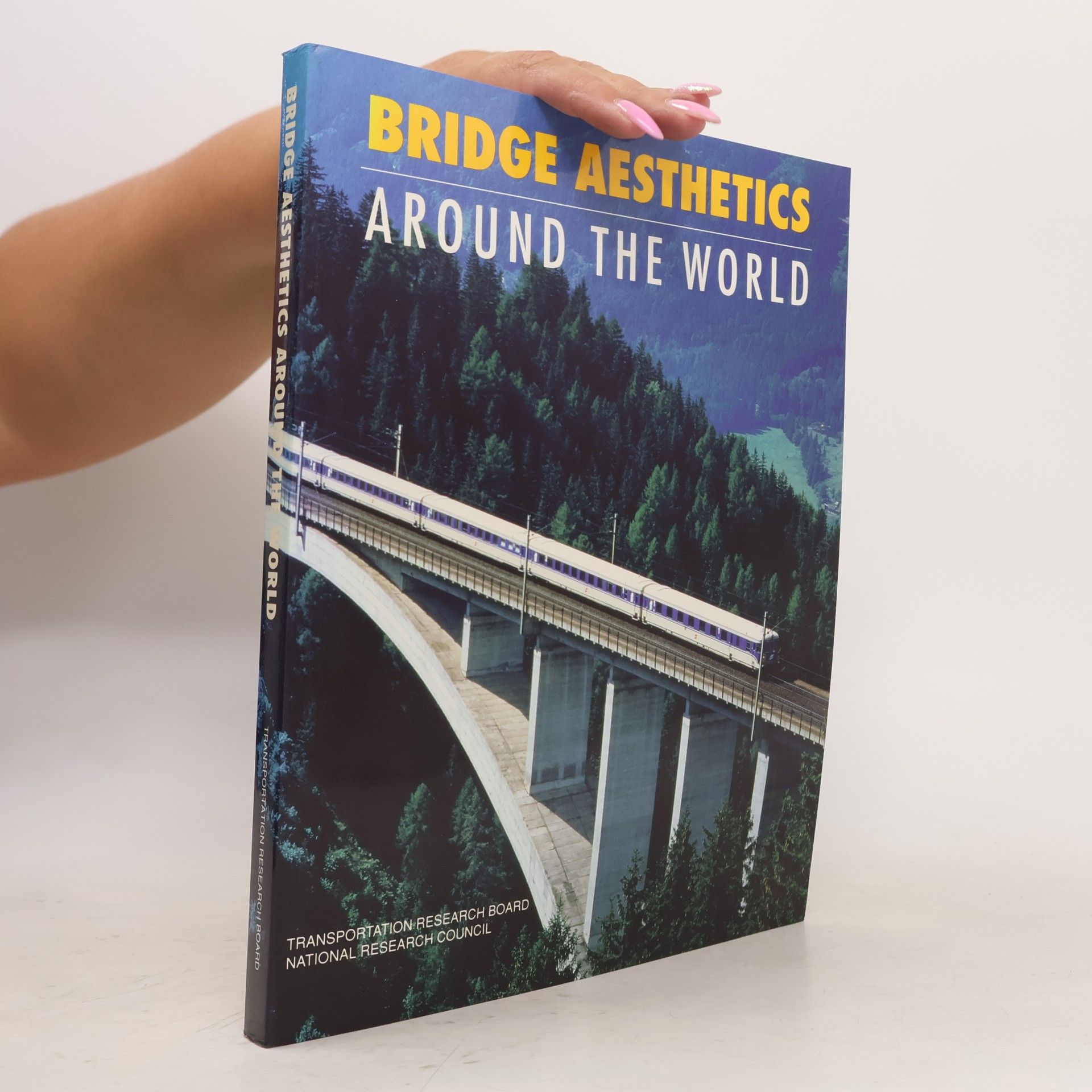 Autorenkollektiv Bridge Aesthetics. Around the World