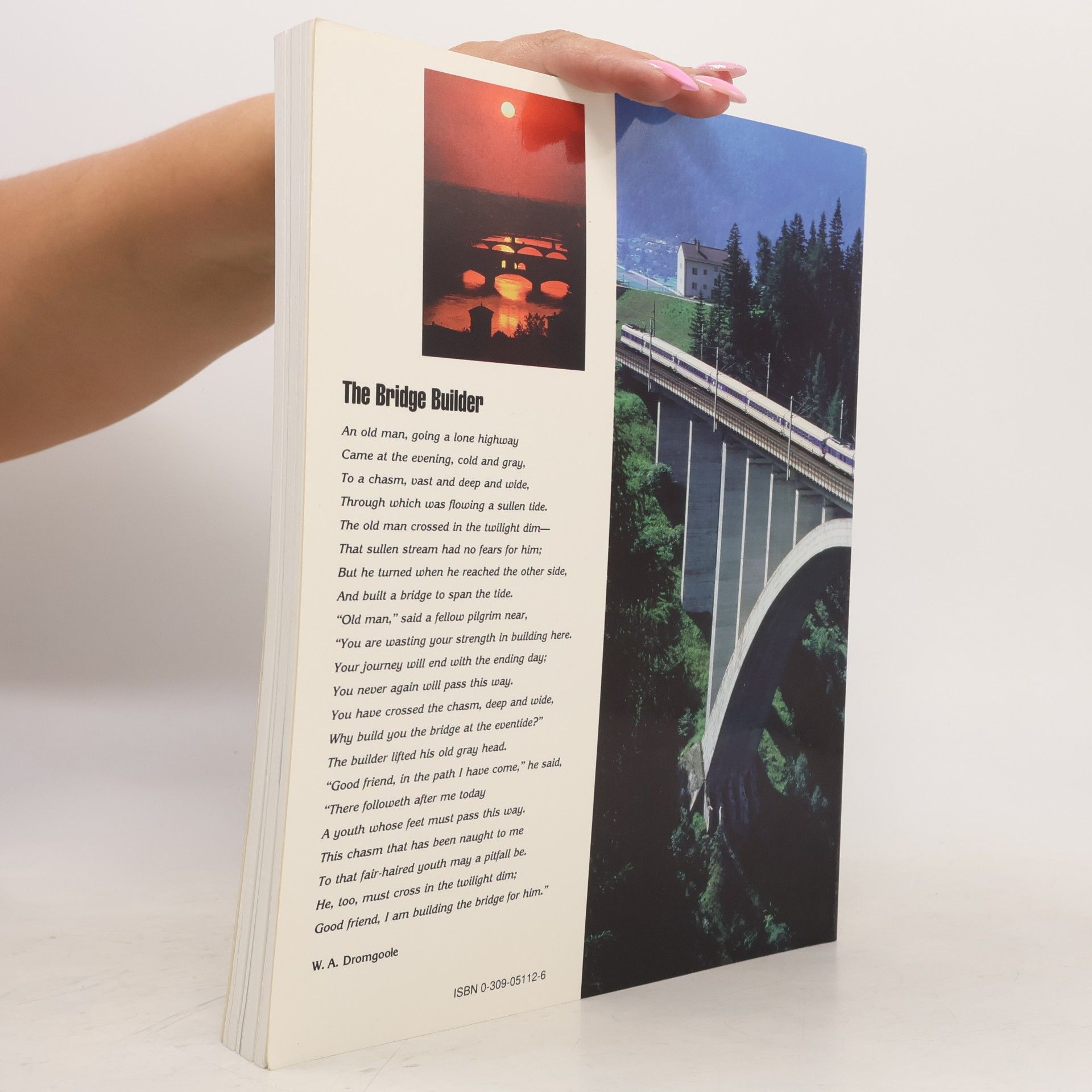 Various authors Bridge Aesthetics. Around the World