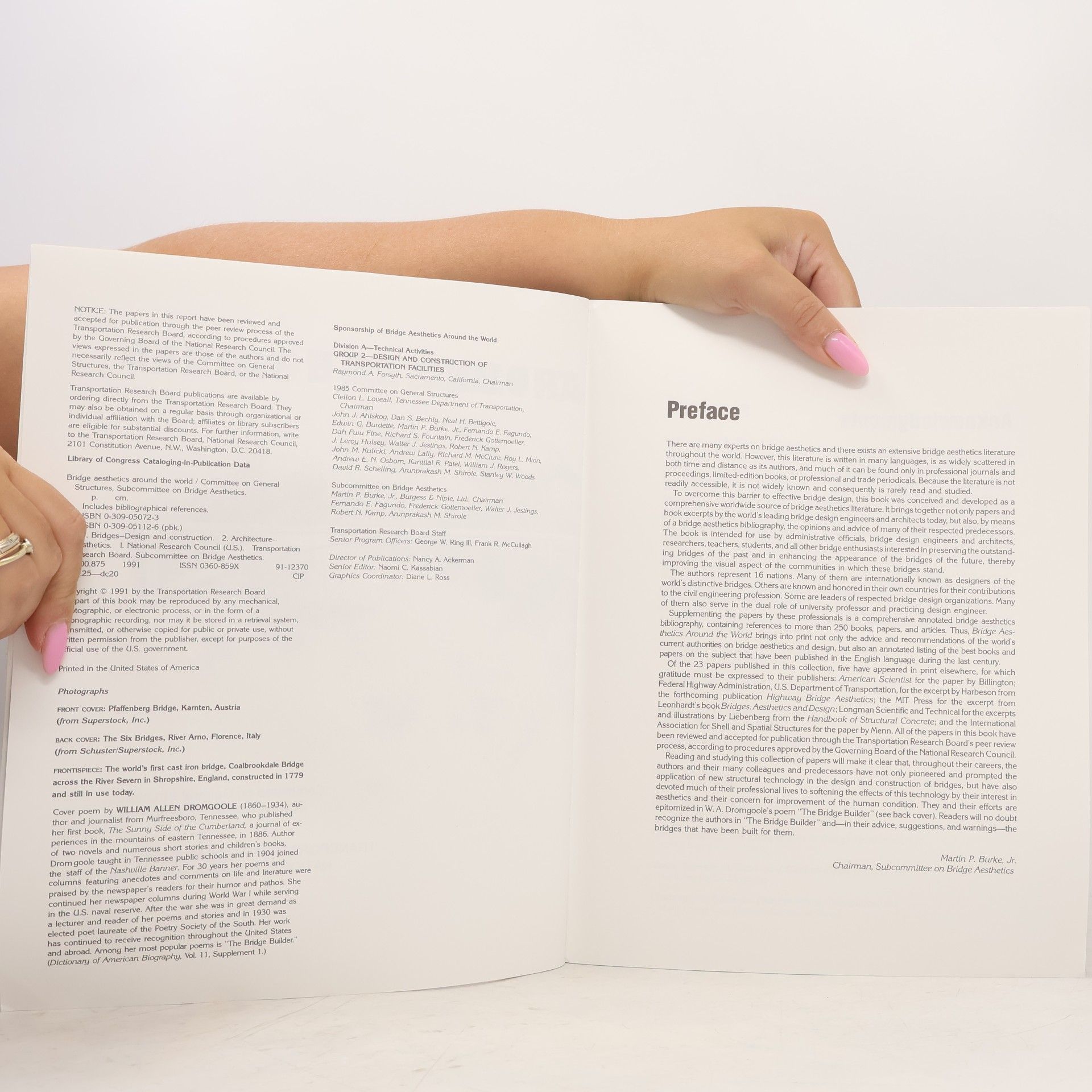 Various authors Bridge Aesthetics. Around the World