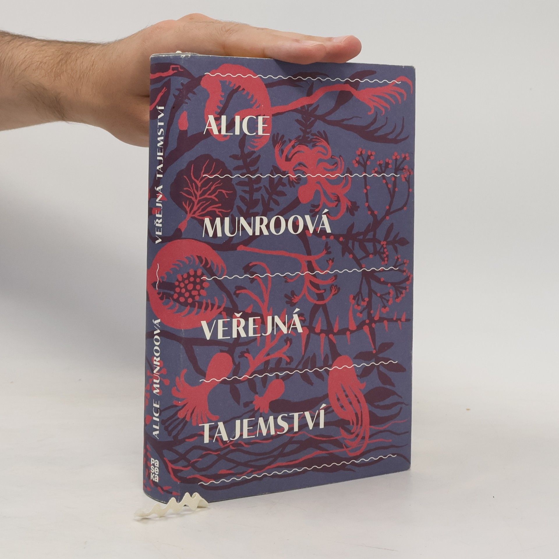 Alice Munro Veřejná tajemství