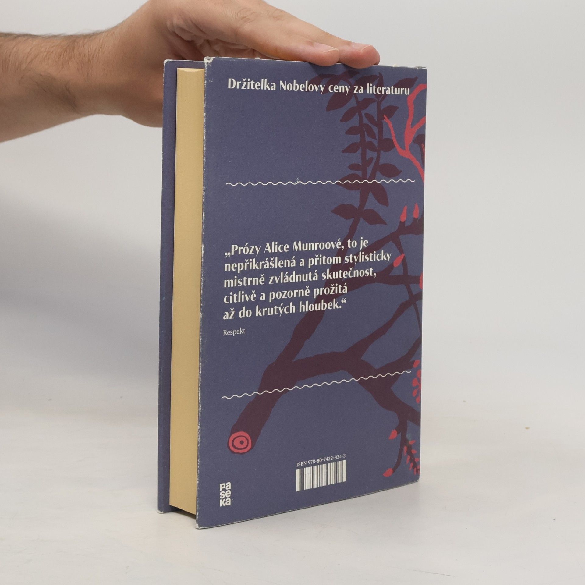 Alice Munro Veřejná tajemství