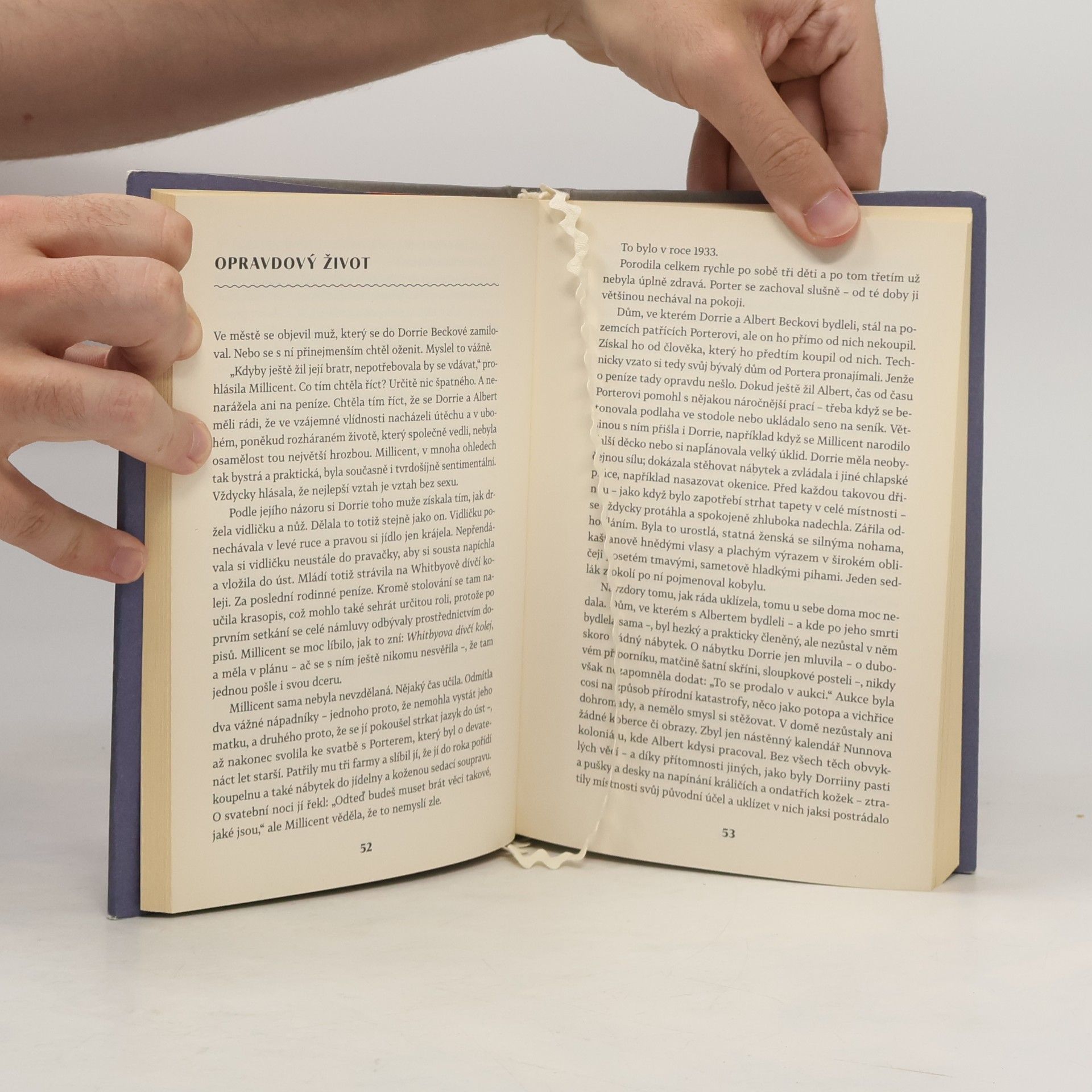 Alice Munro Veřejná tajemství