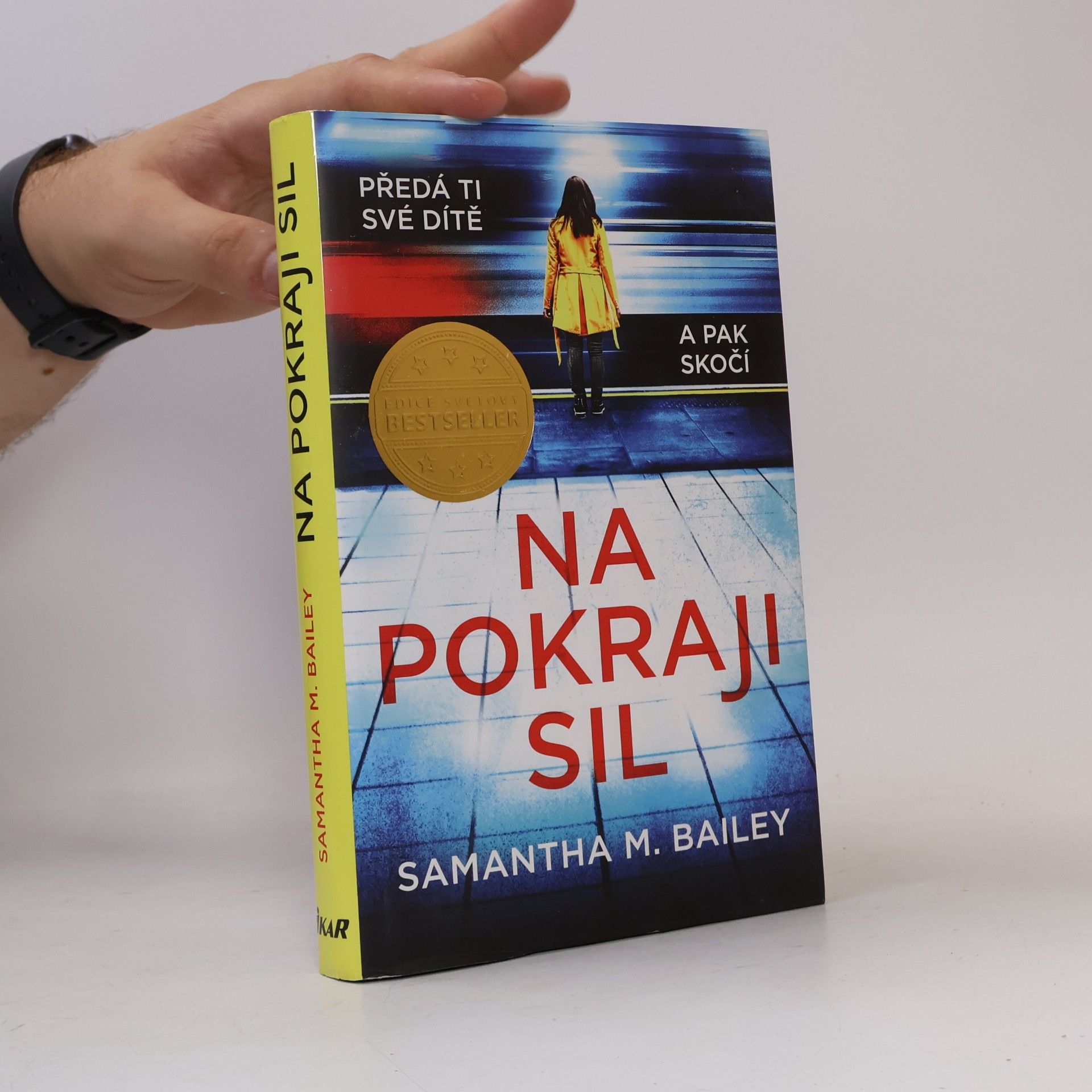 Samantha M. Bailey Na pokraji sil