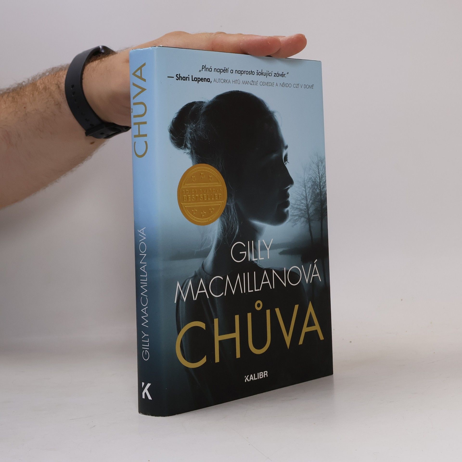 Gilly Macmillan Chůva