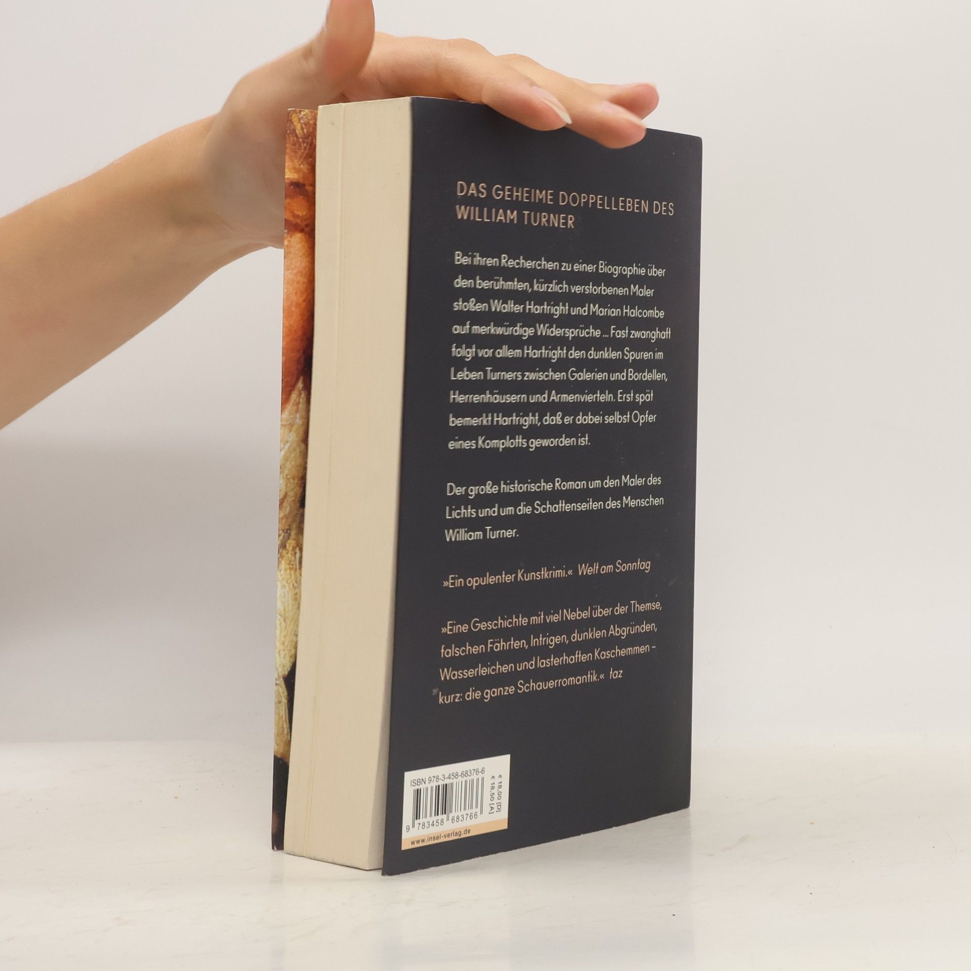 James Wilson-MacDonald Der Schatten des Malers. Roman | Das geheime Doppelleben von William Turner