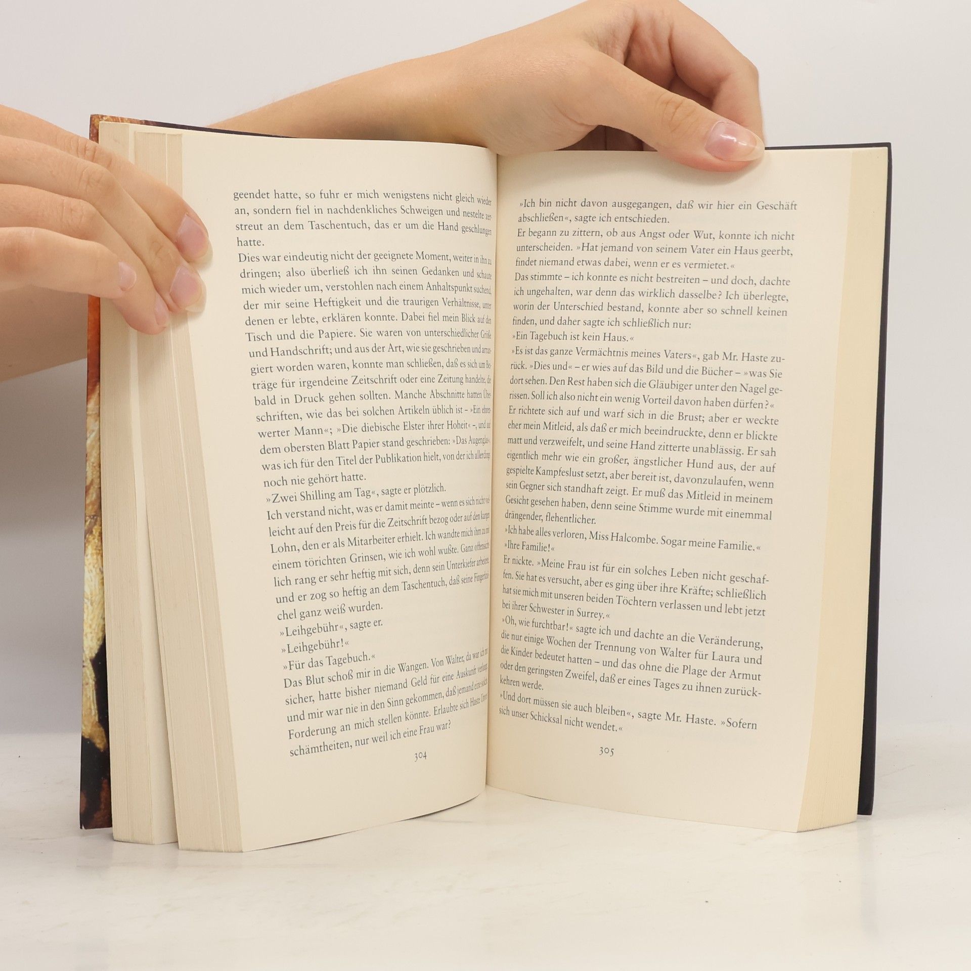 James Wilson-MacDonald Der Schatten des Malers. Roman | Das geheime Doppelleben von William Turner