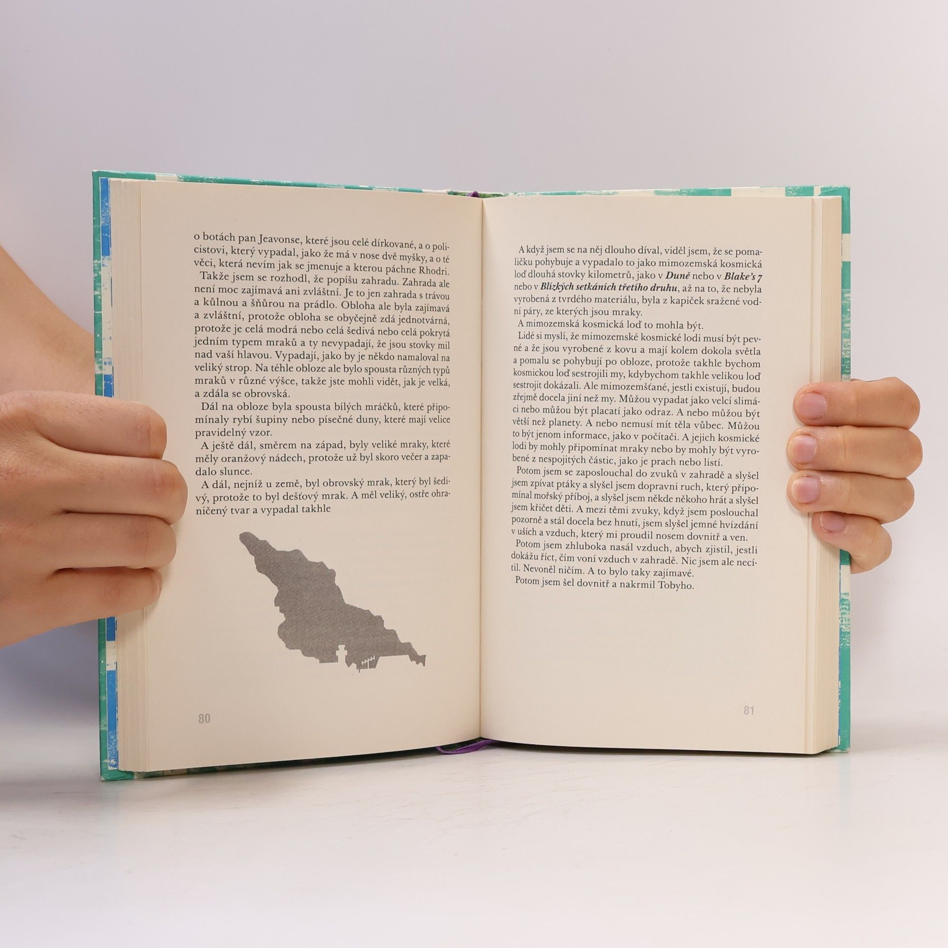 Mark Haddon Podivný případ se psem