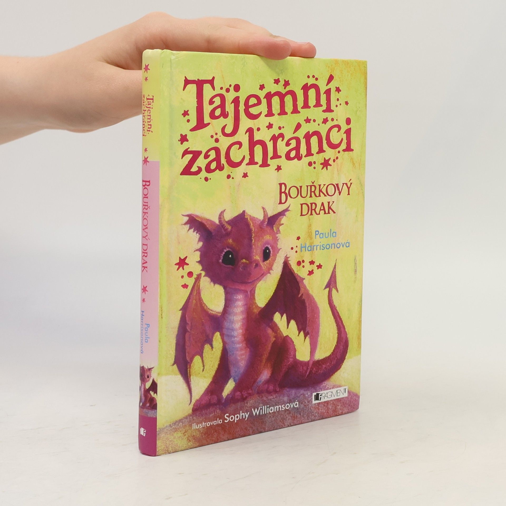 Paula Harrison Tajemní zachránci - Bouřkový drak