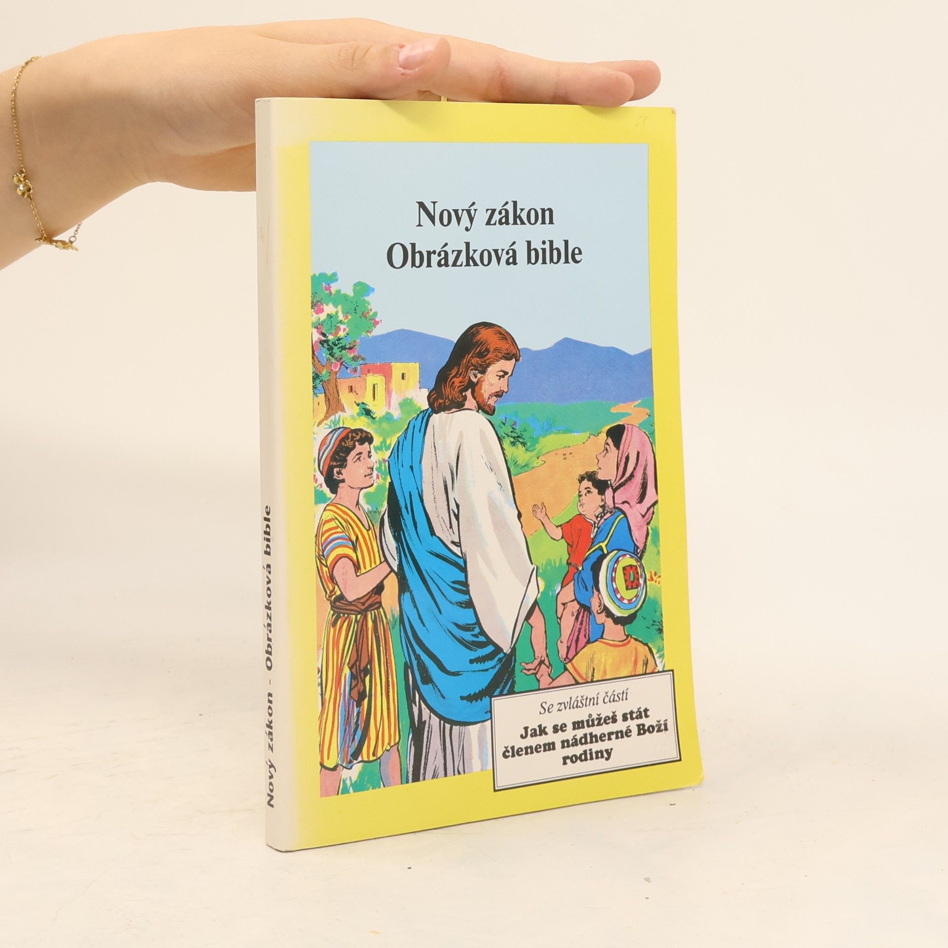 David Cook Nový zákon. Obrázková bible