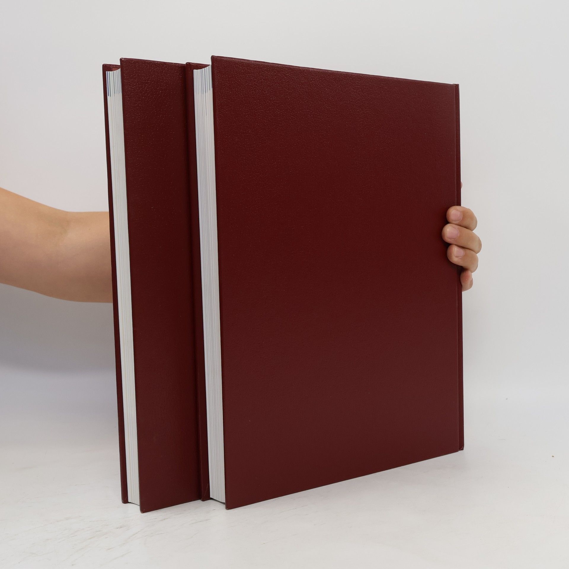 Autorenkollektiv Das Jahr Tausend Buch 1-2