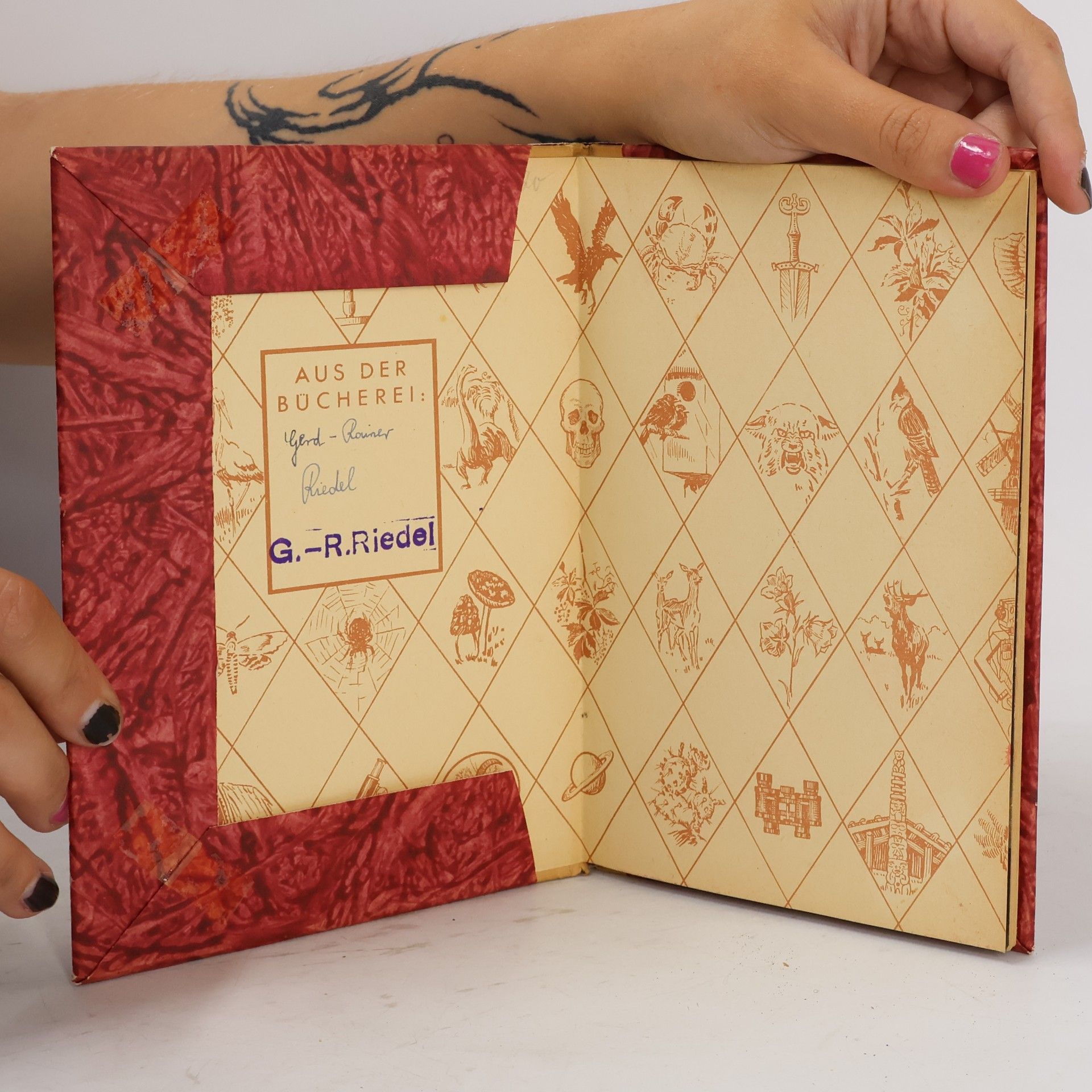 K.vV. Bülow Erdgeschichte daheim