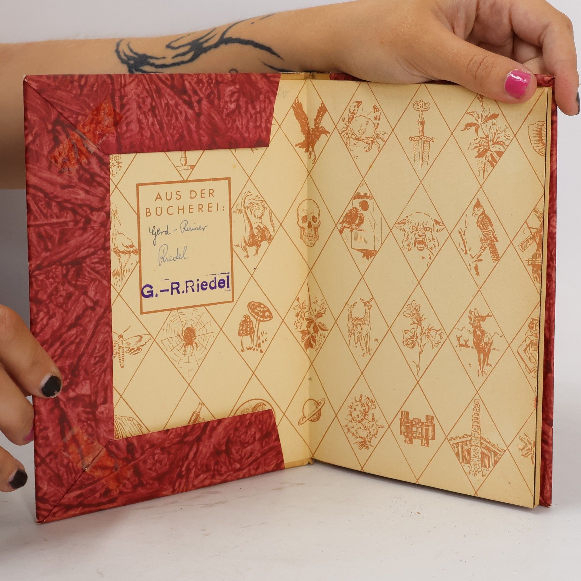 K.vV. Bülow Erdgeschichte daheim