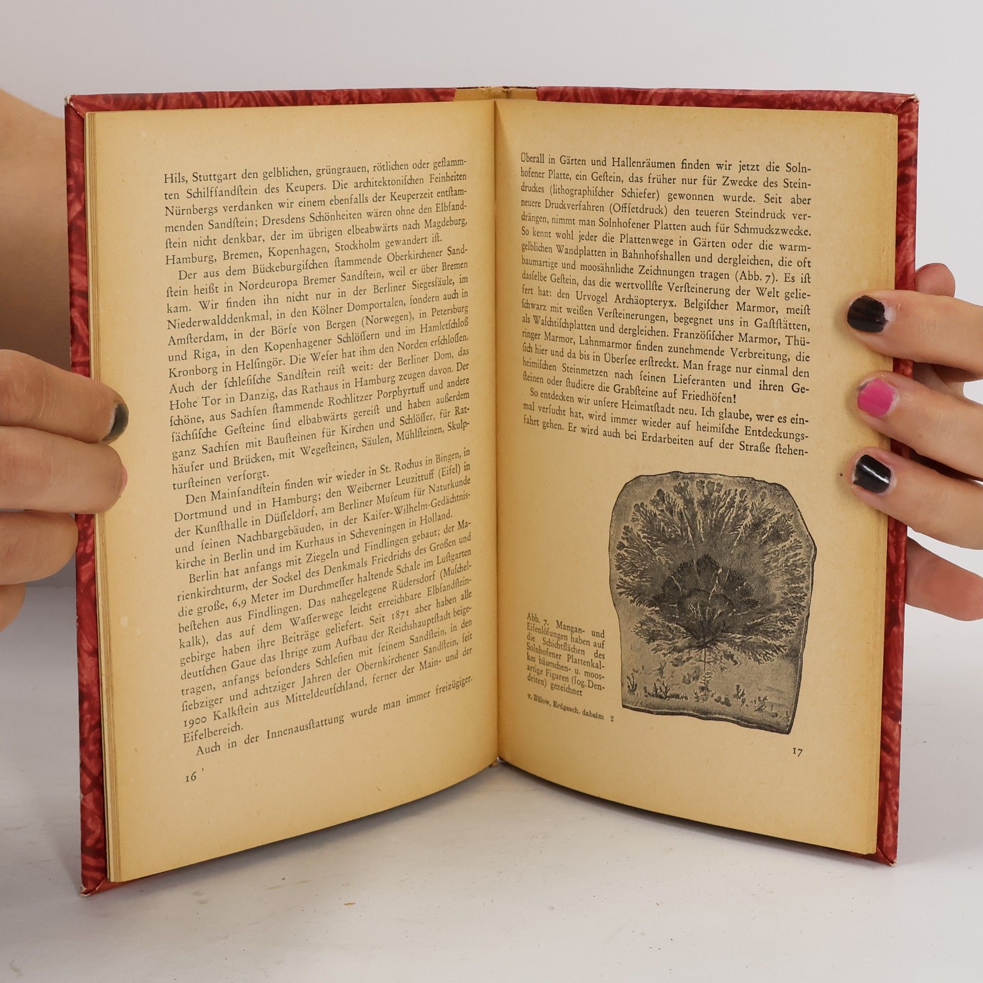 K.vV. Bülow Erdgeschichte daheim