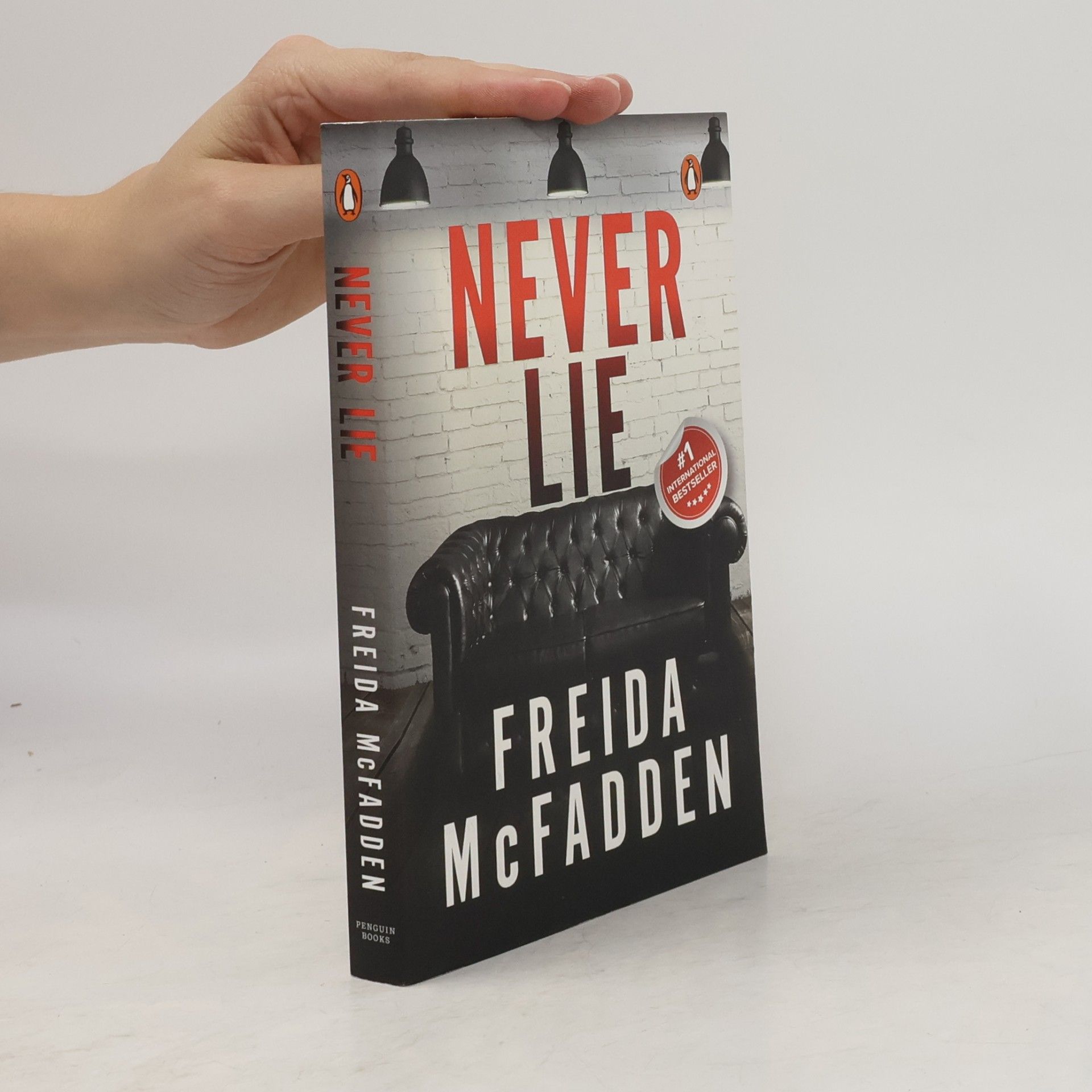 Freida McFadden Never Lie