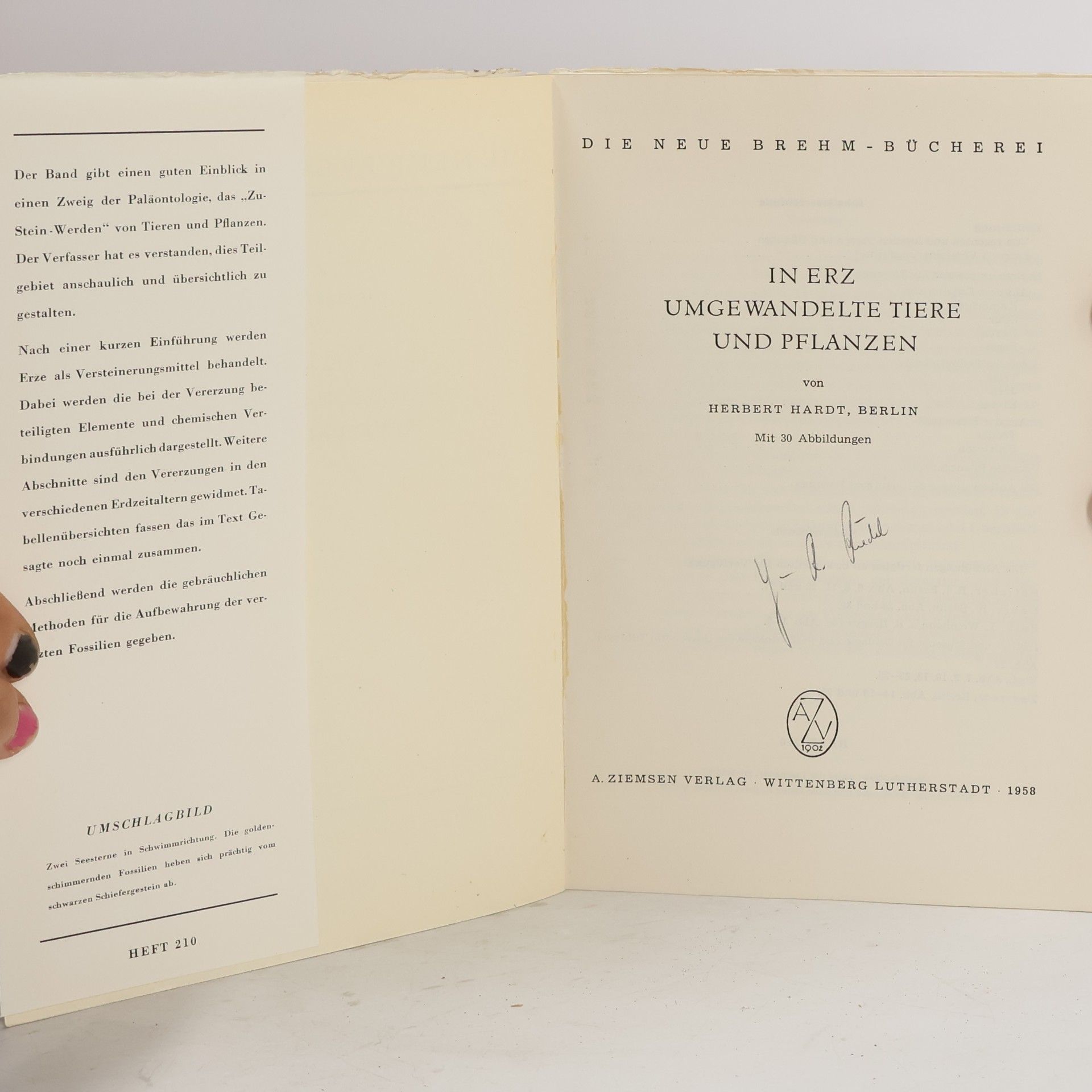 Herbert Hardt In Erz umgewandelte Tiere und Pflanzen