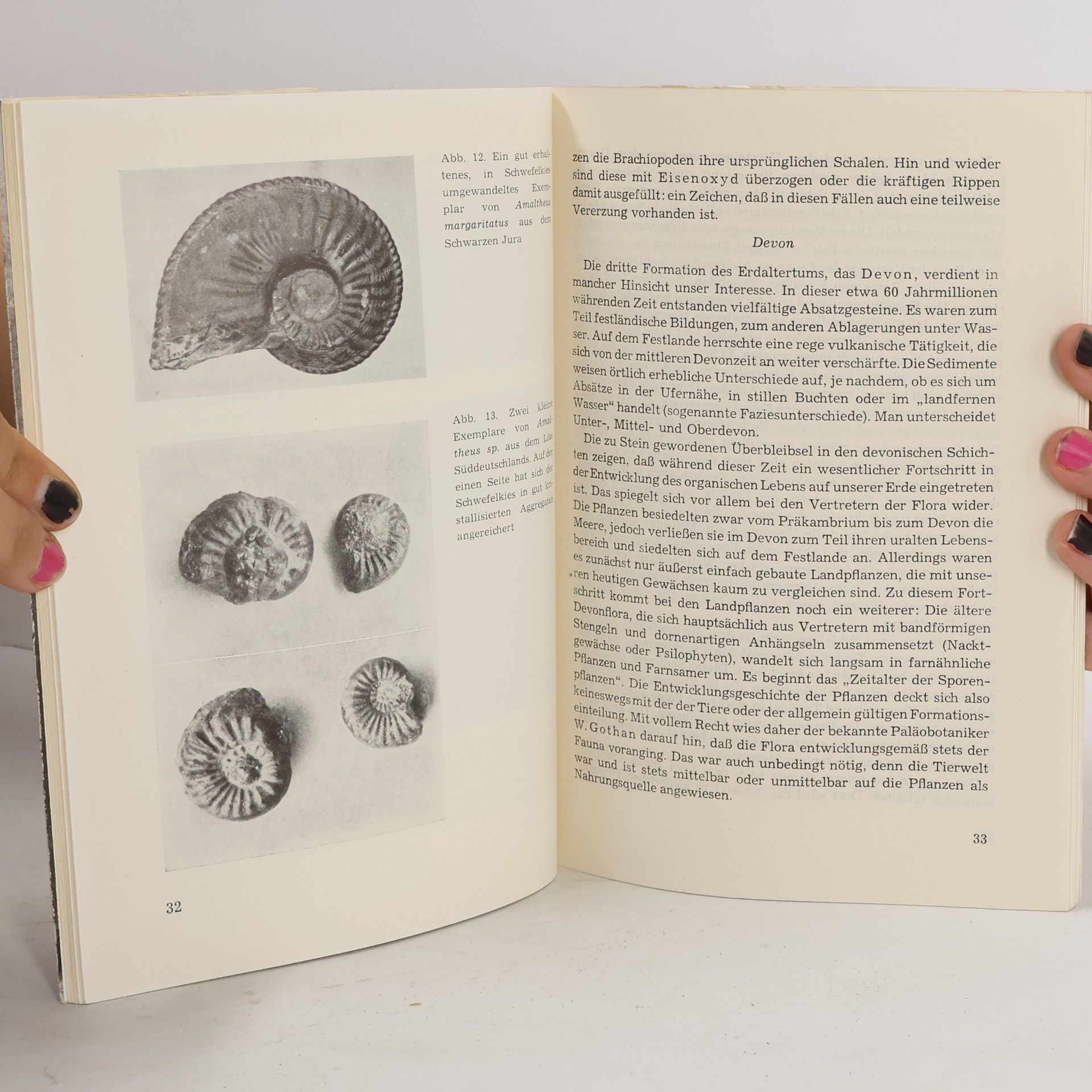 Herbert Hardt In Erz umgewandelte Tiere und Pflanzen