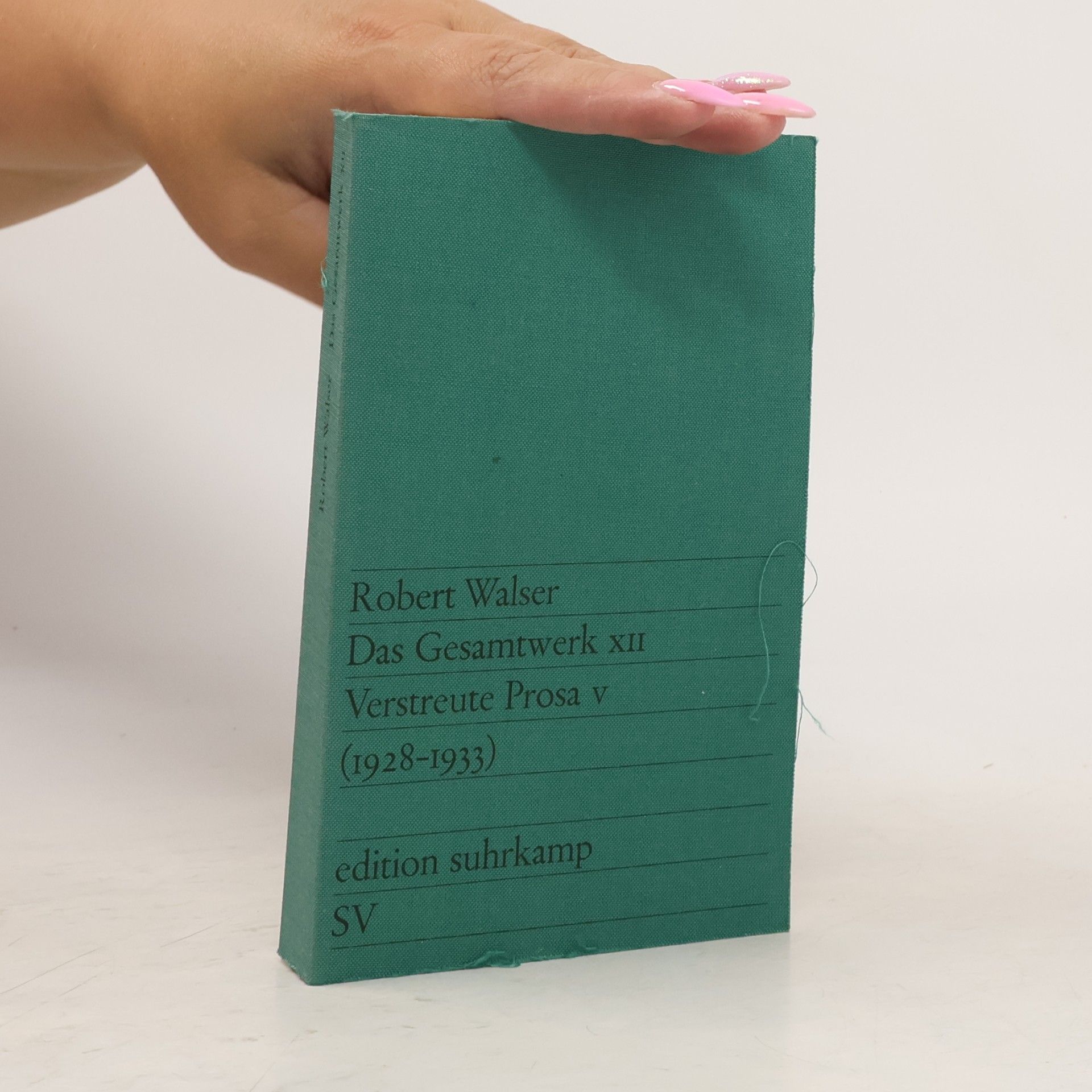Robert Walser Das Gesamtwerk XII.