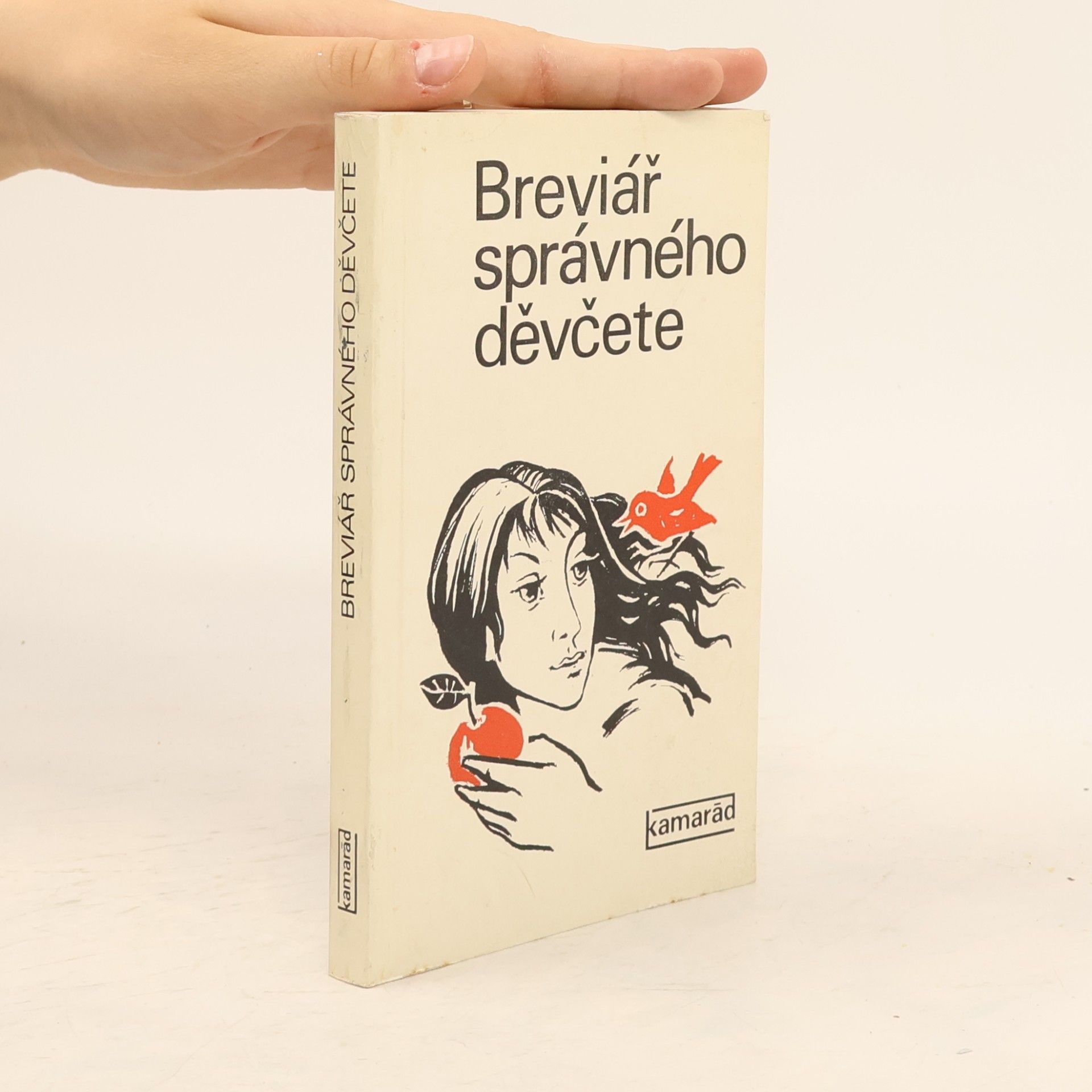 Dita Hajná Breviář správného děvčete