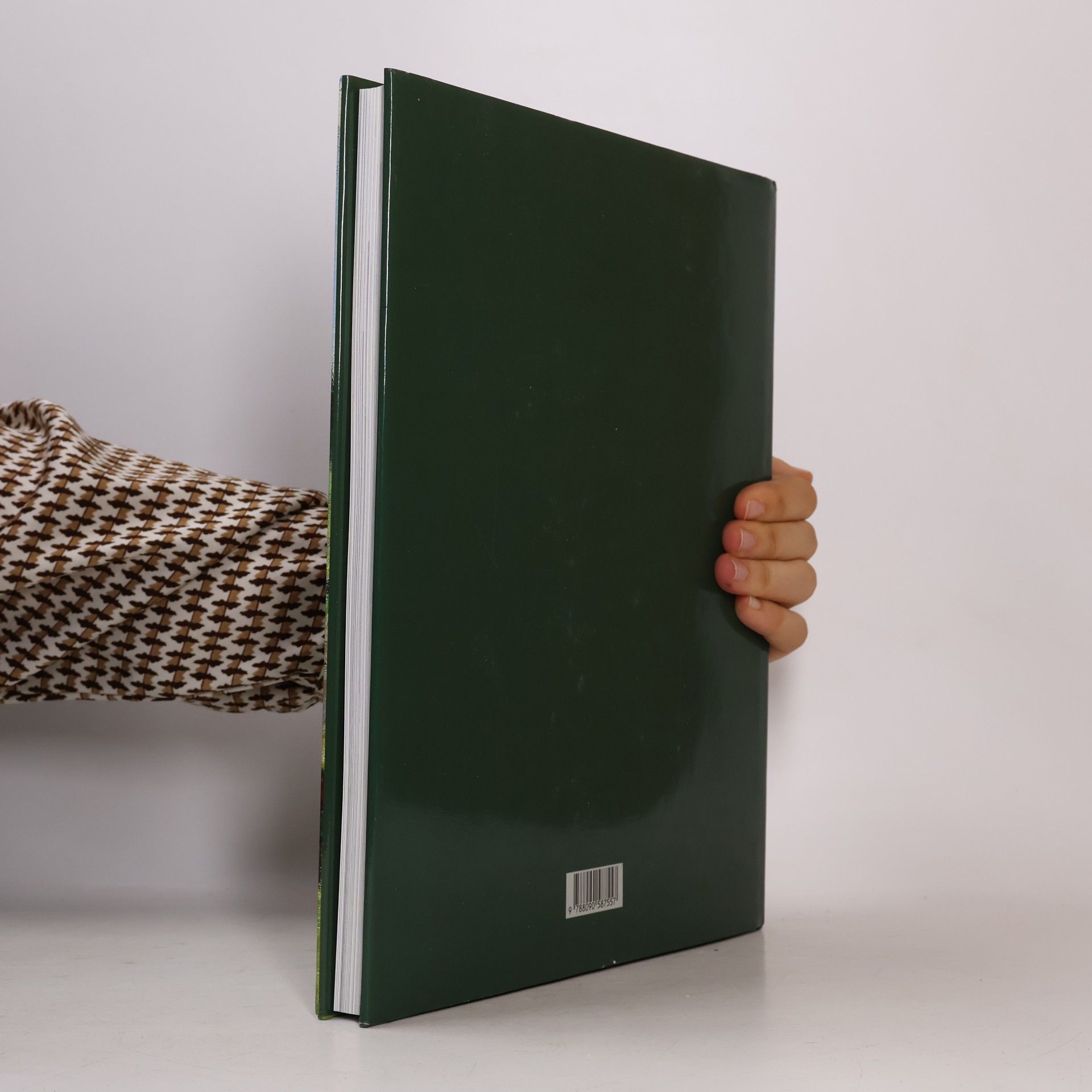Michael Zachař Pocta české krajinomalbě : 10.11.2015-31.1.2016, Galerie Diamant, Spolek výtvarných umělců Mánes