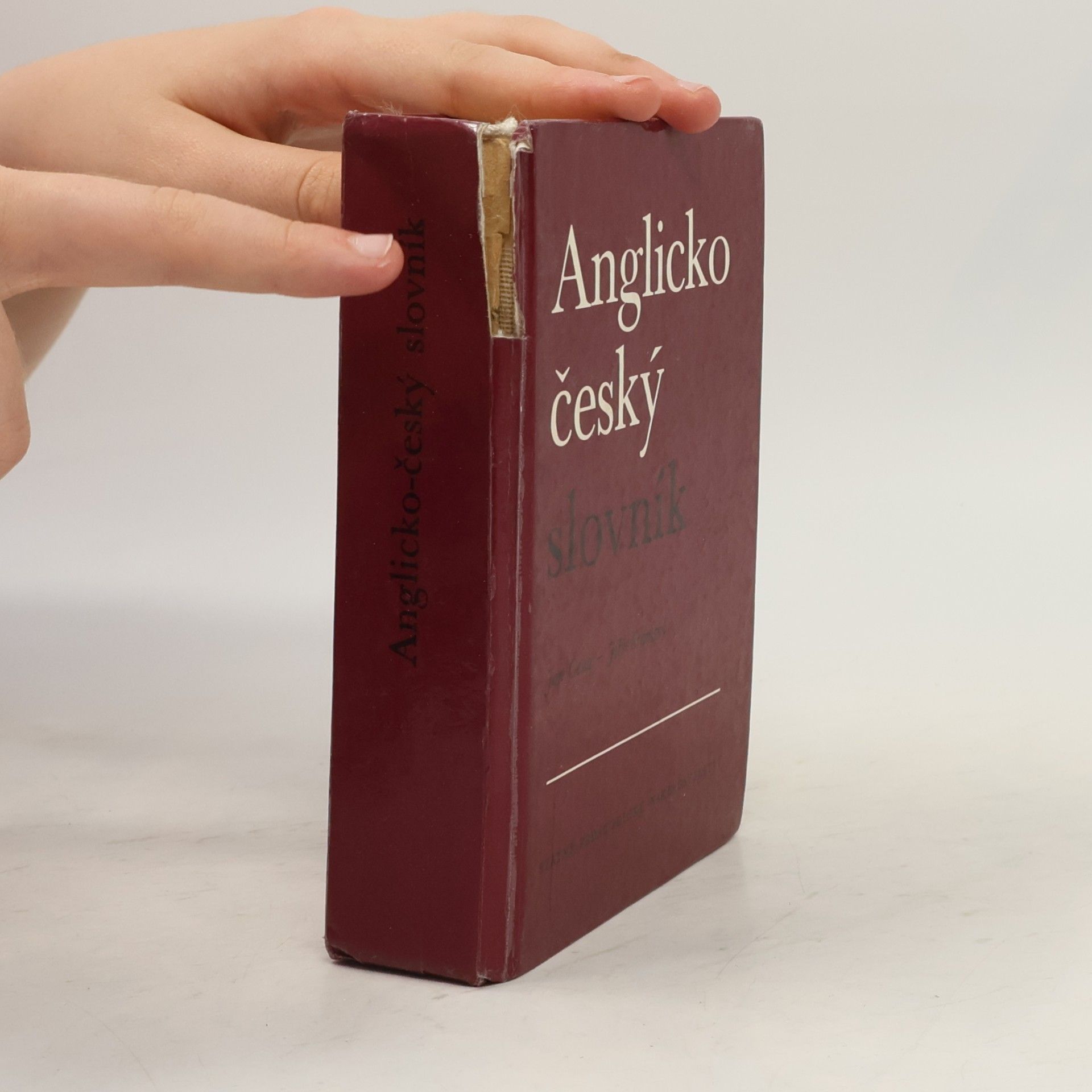 Jan Caha Anglicko-český slovník