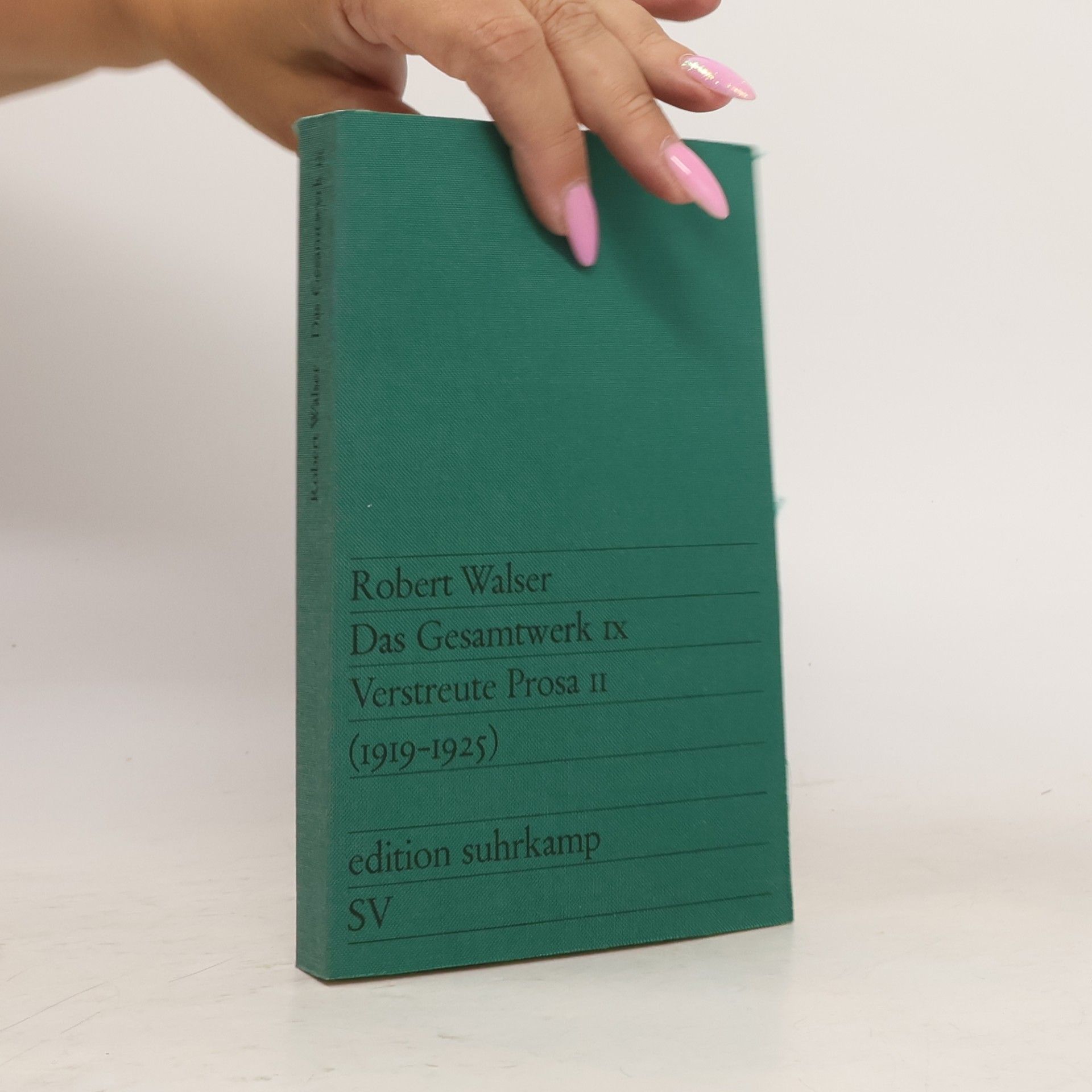 Robert Walser Das Gesamtwerk IX.