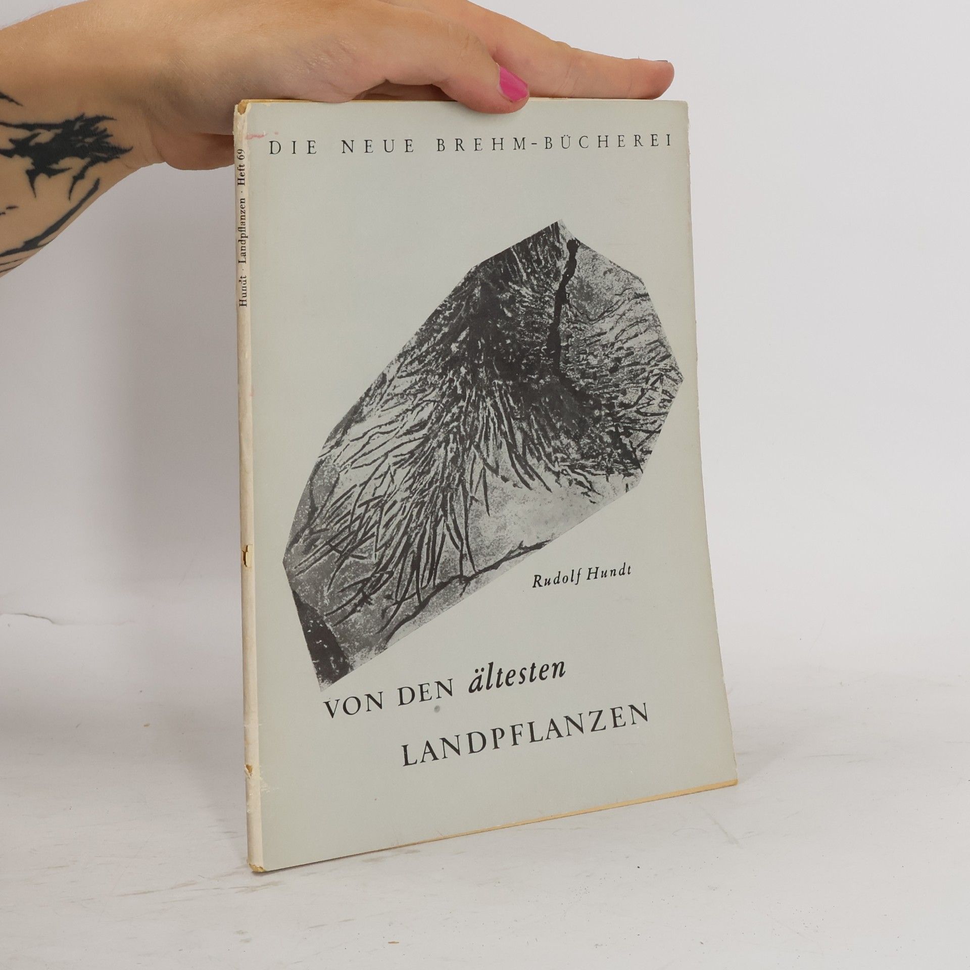 Rudolf Hundt Von den ältesten Landpflanzen